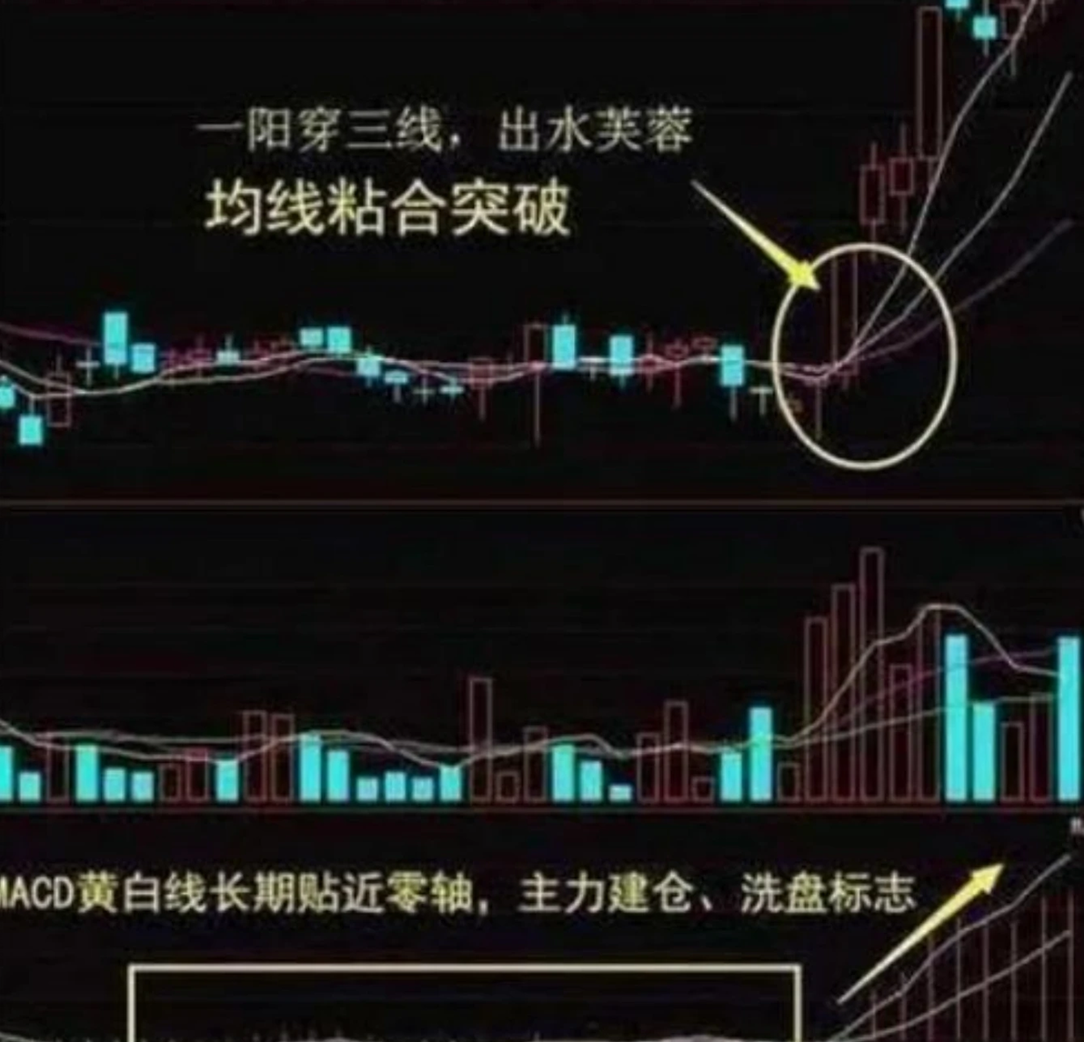 最大筹码峰为获利峰选股公式_选股公式_股票公式