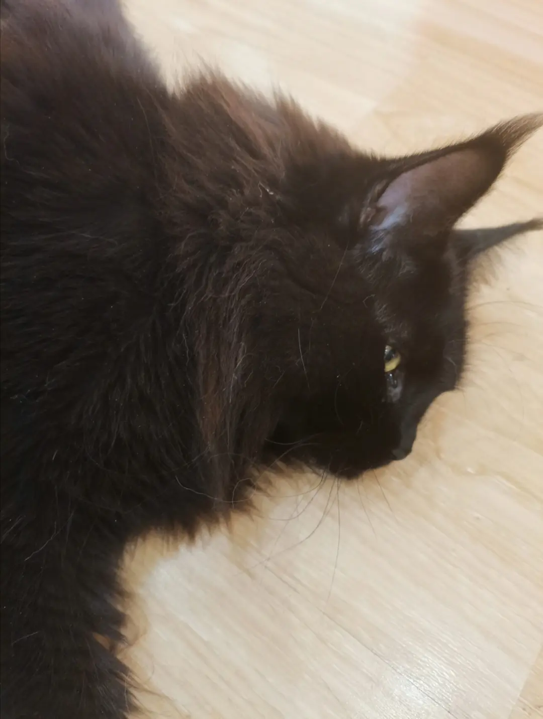 你的脸掉地上了