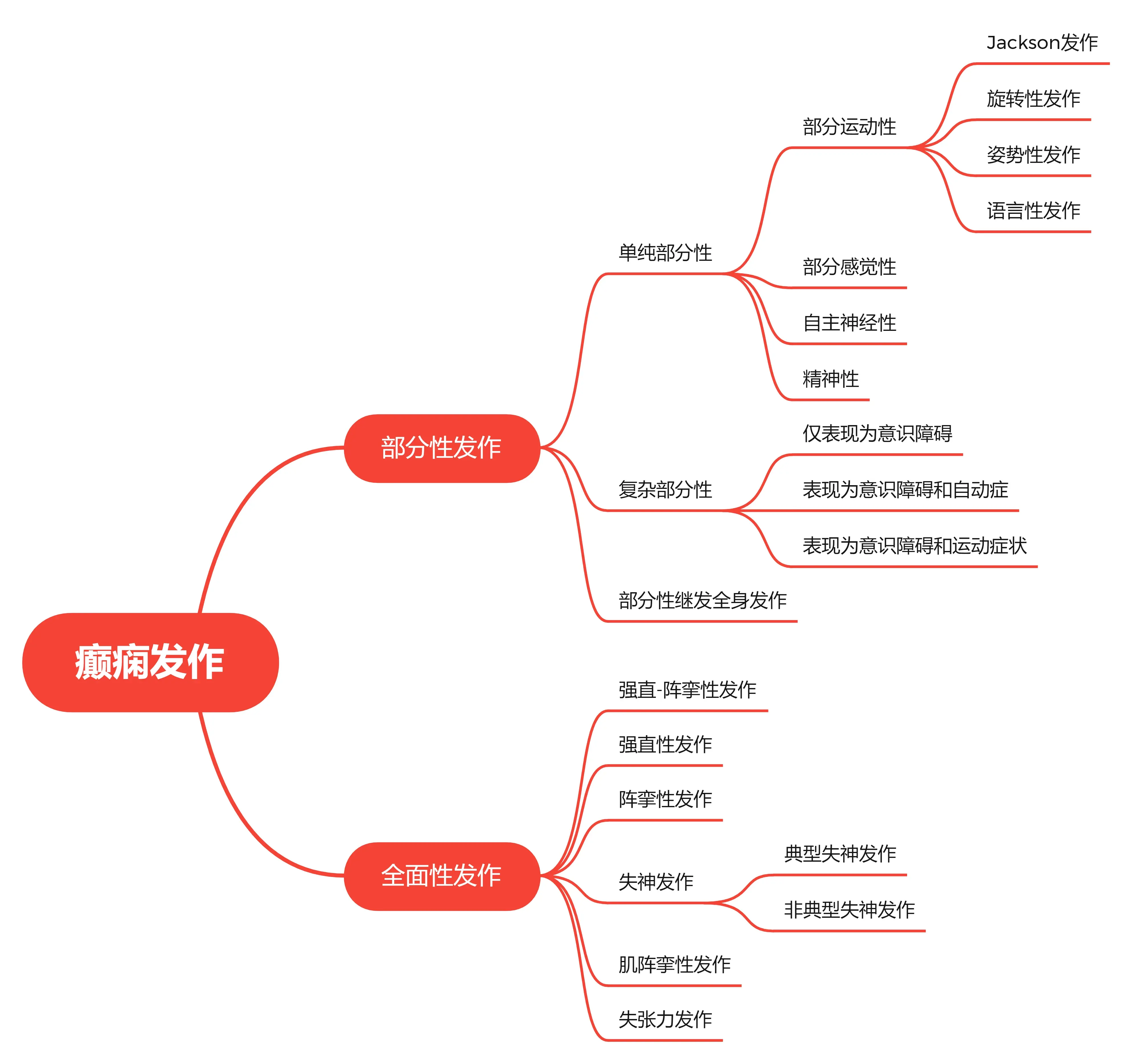 人体神经系统思维导图图片