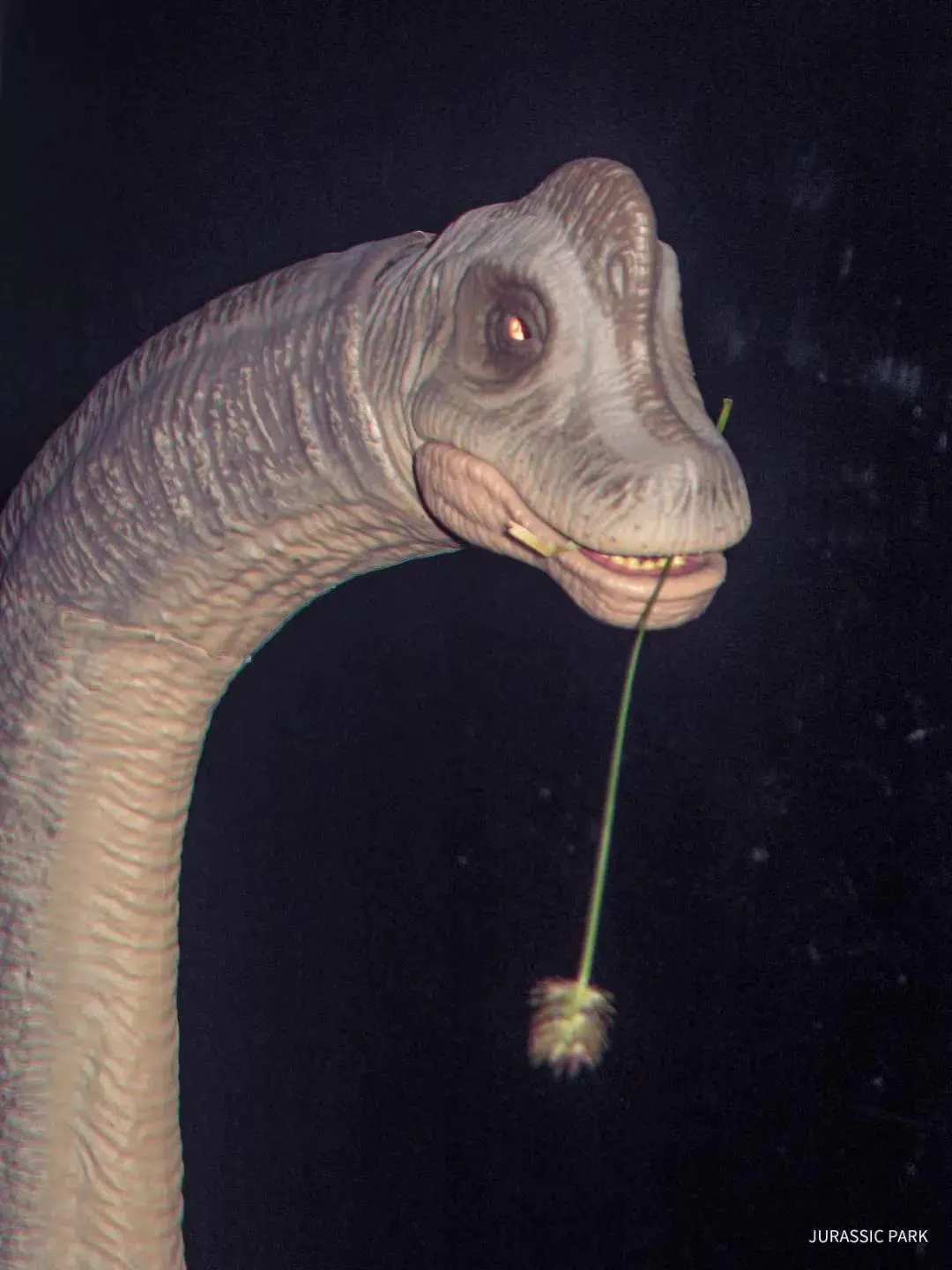 腕龙 美泰 哈蒙德系列