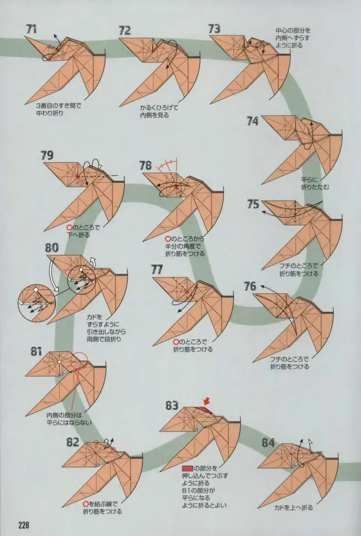 五步折一只霸王龙图片