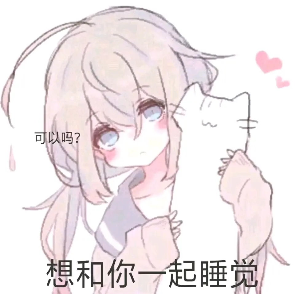 猫猫的百宝箱(表情包)240418