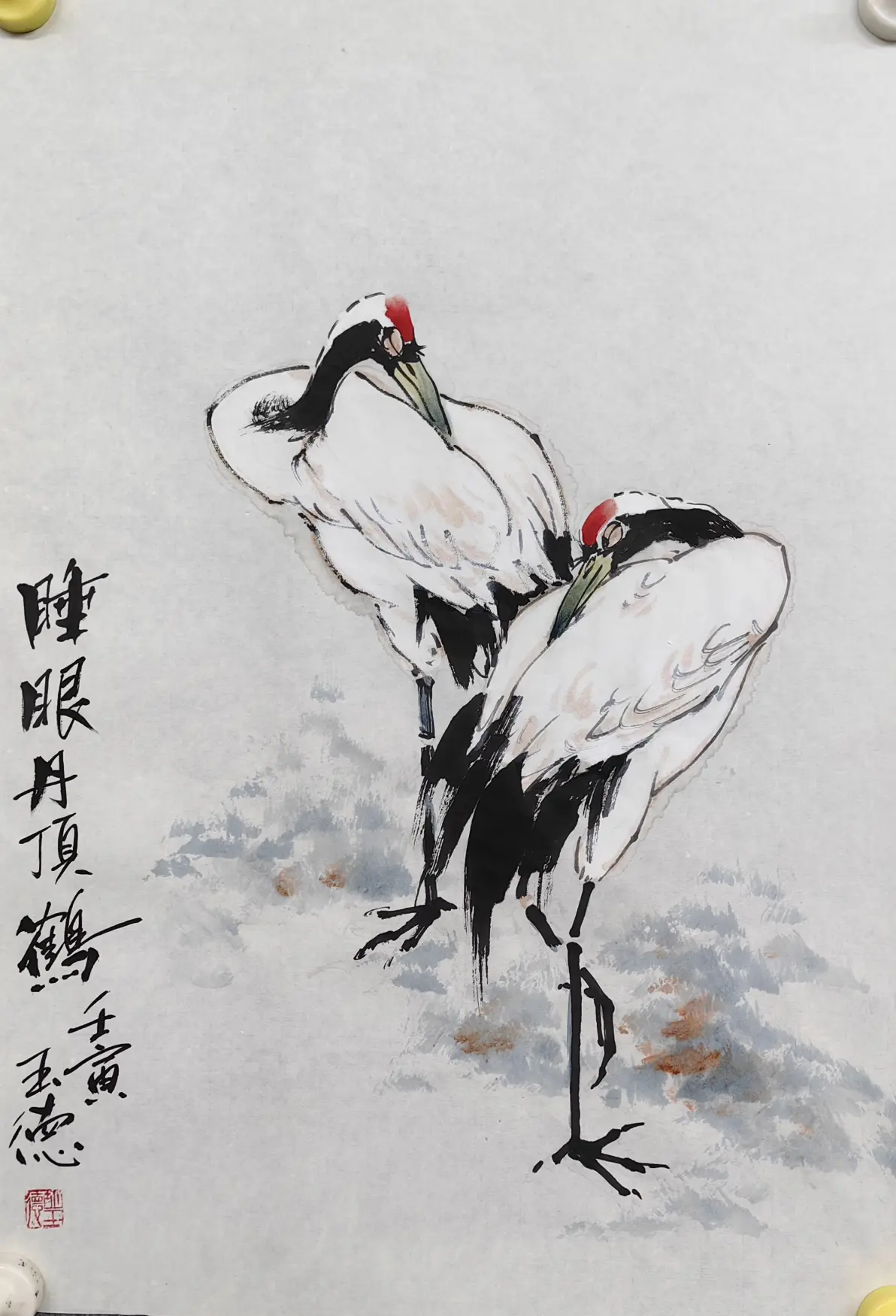 仙鹤展翅凌风起,丹顶闪烁映霞光