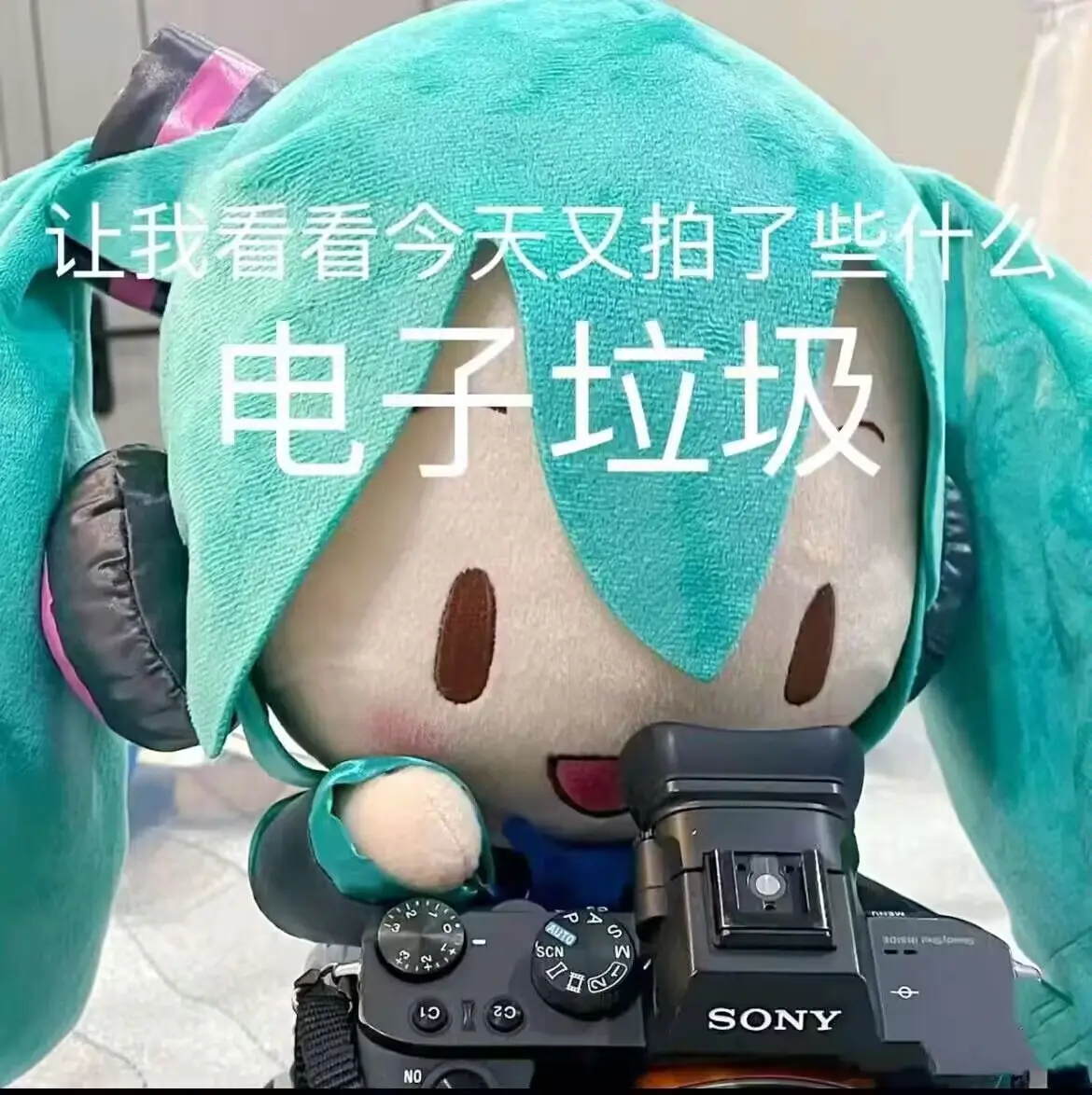 摄影/二次元摄影表情包
