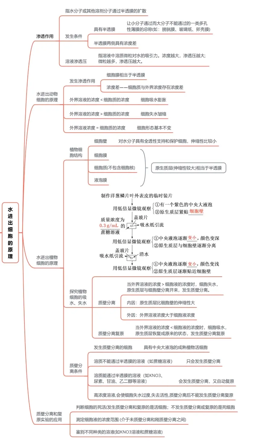 生物必修一第四章导图图片