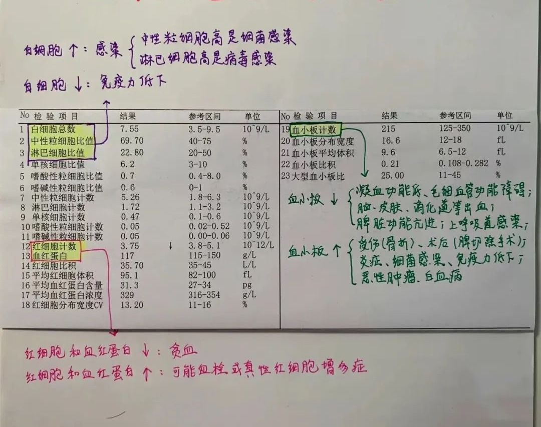 血常规化验单怎么看？一文说清 哔哩哔哩