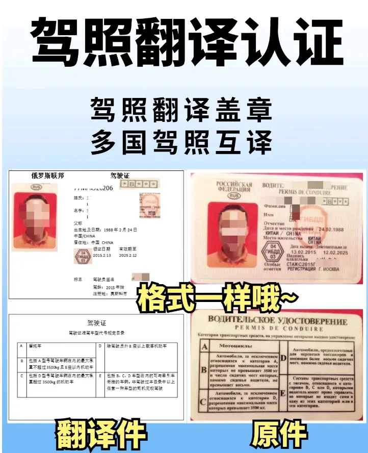 国外驾照翻译模板及国内换照流出 - 哔哩哔哩
