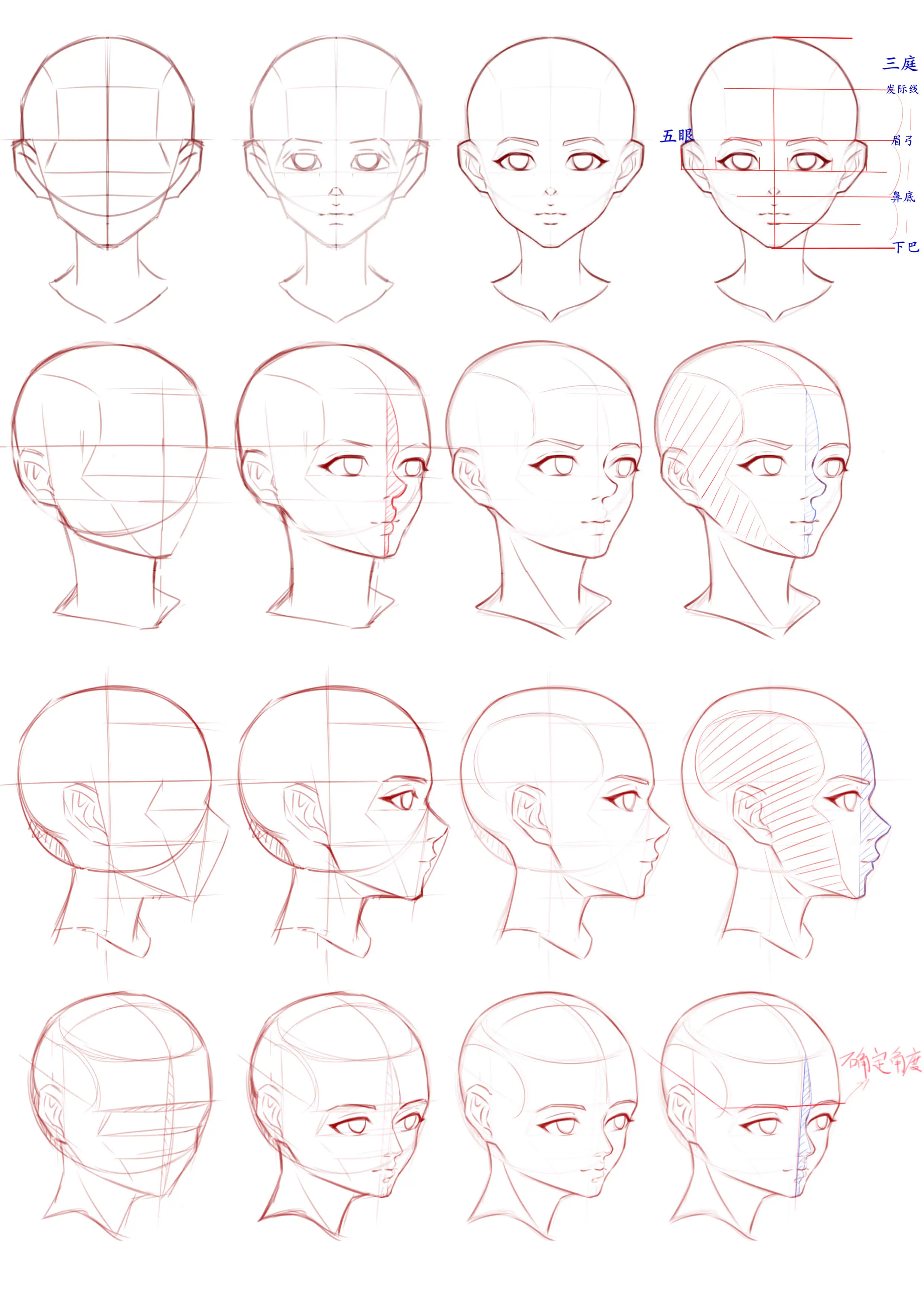 动漫头部基础画法步骤图片
