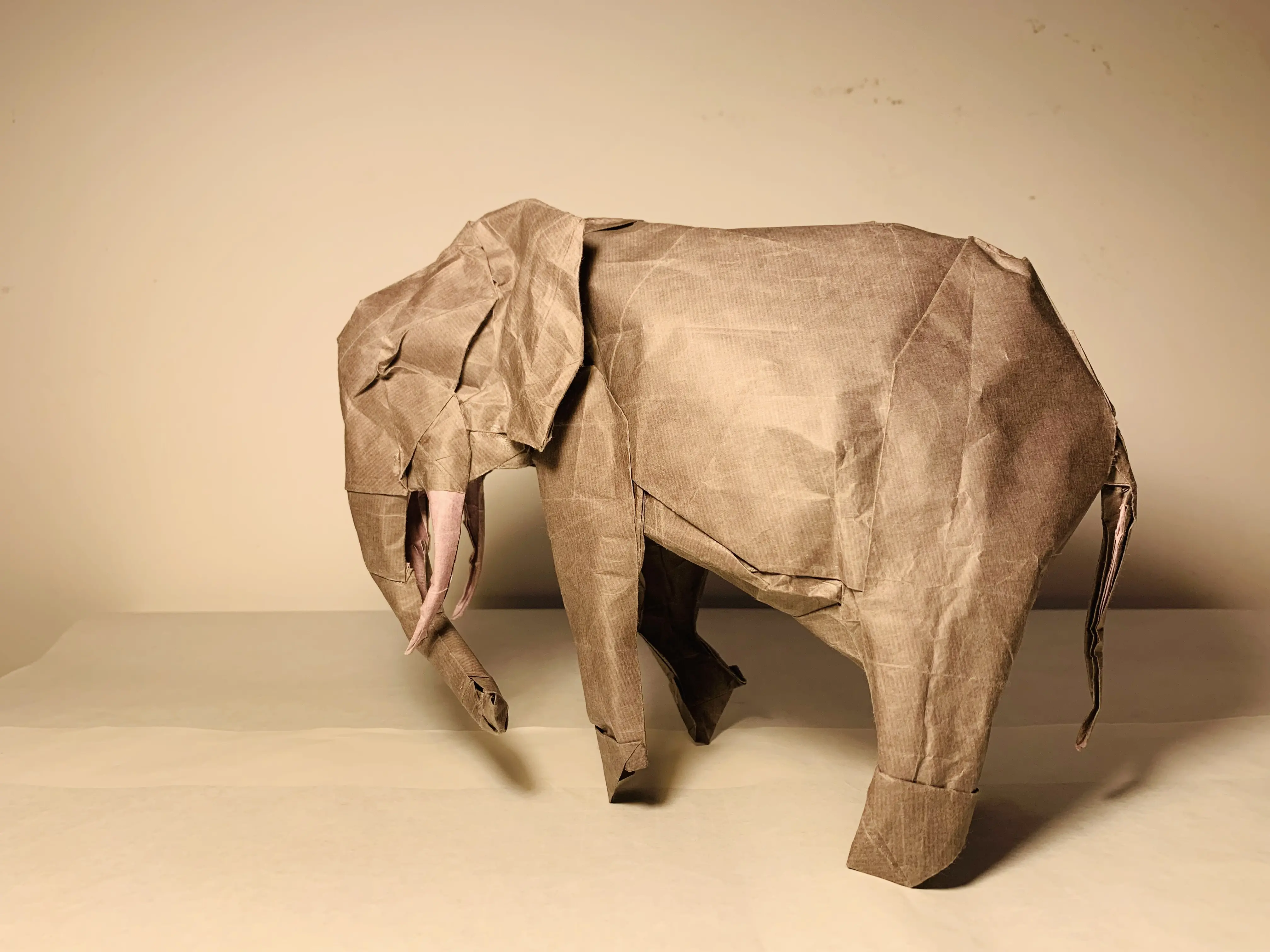 【折纸】加藤非洲象