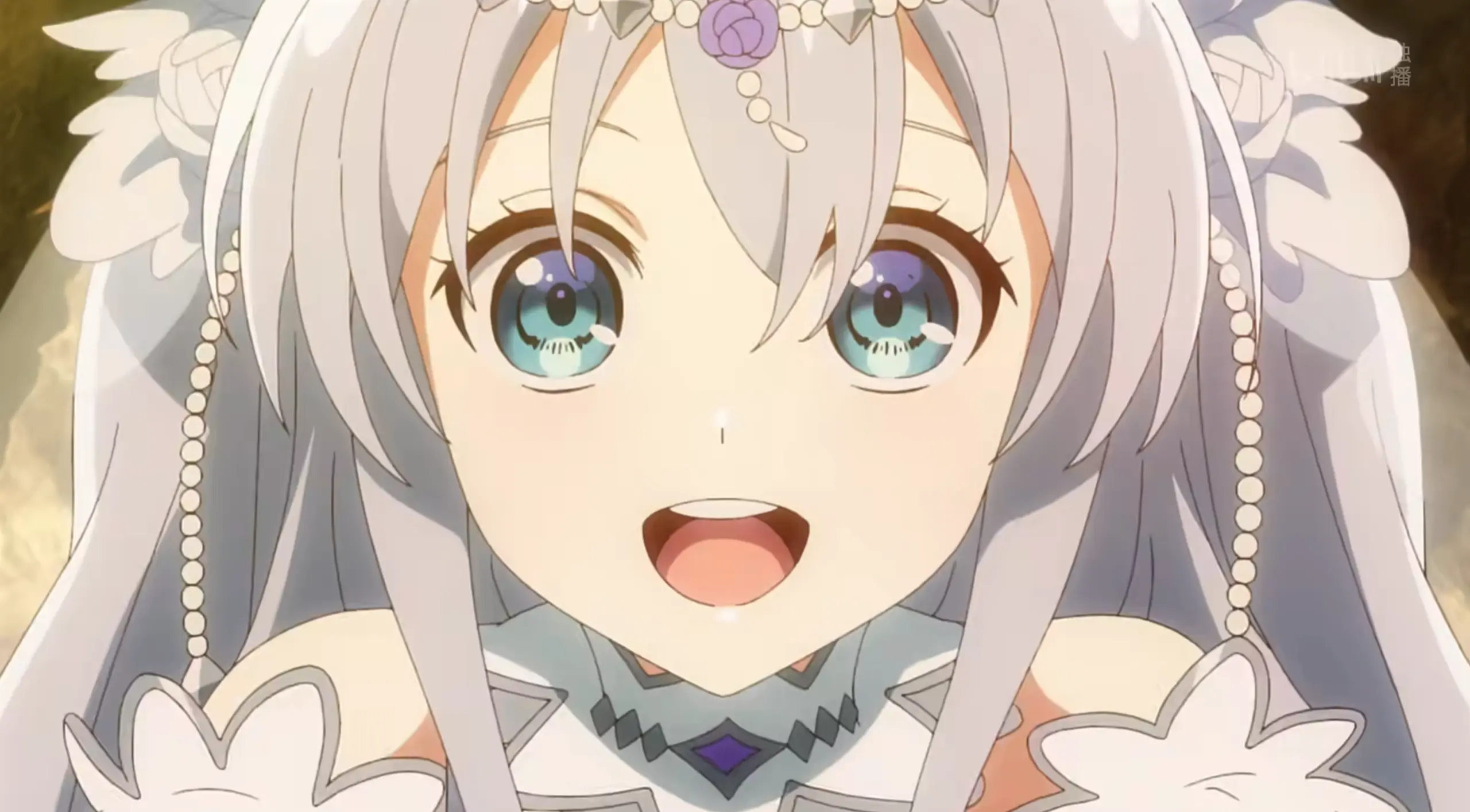 精灵幻想记第二季