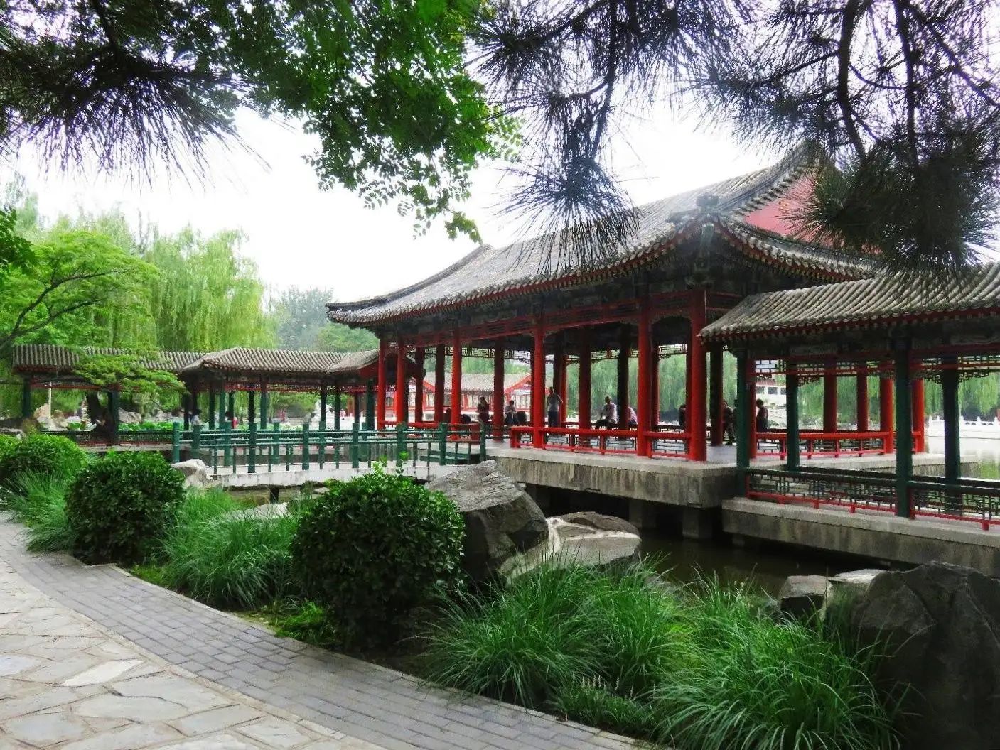 产学研视点|漫步大观园:寻觅古典园林的韵味 - 哔哩哔哩