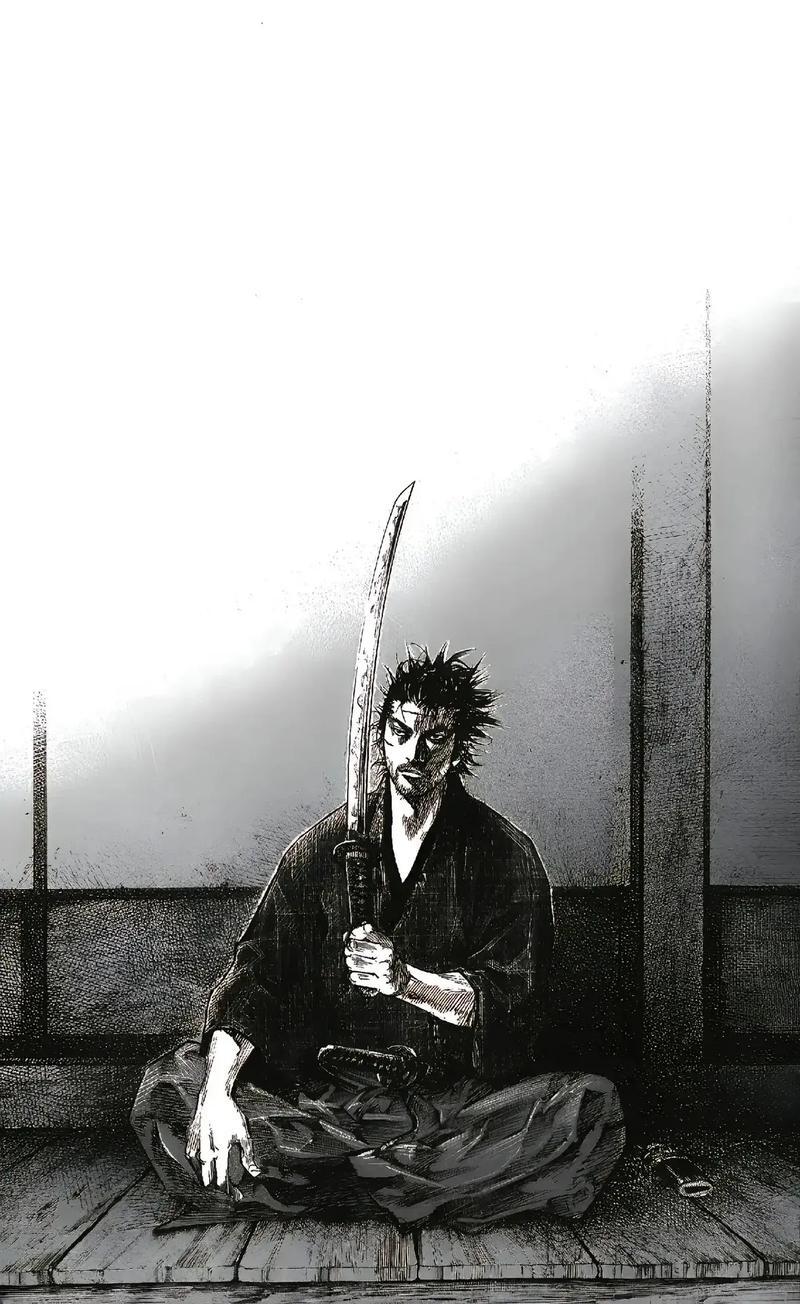 【经典漫画】浪客行漫画全集|井上雄彥PDF(01-37卷+327话) 宫本武藏 - 哔哩哔哩
