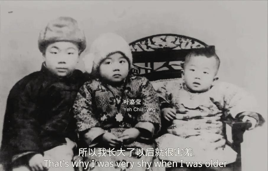 叶嘉莹的智慧:人生百岁苦,衔发肤自渡 - 哔哩哔哩