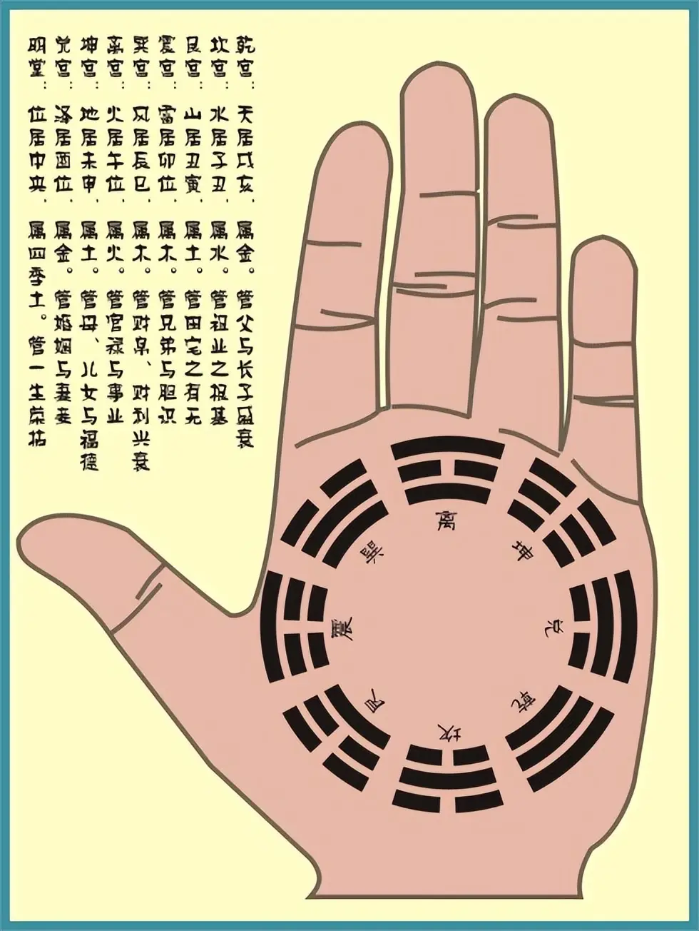 手相"八卦宫位,掌丘"详解