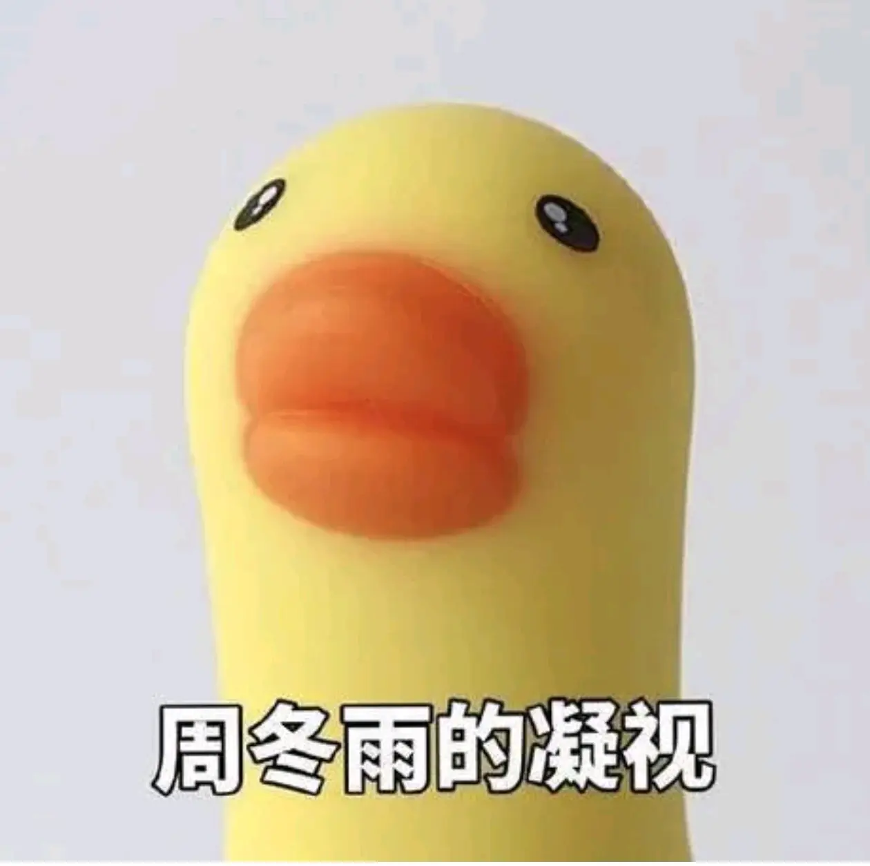 pura70pro 微距摄影:看看不同屏幕的子像素排列方式 - 哔哩哔哩