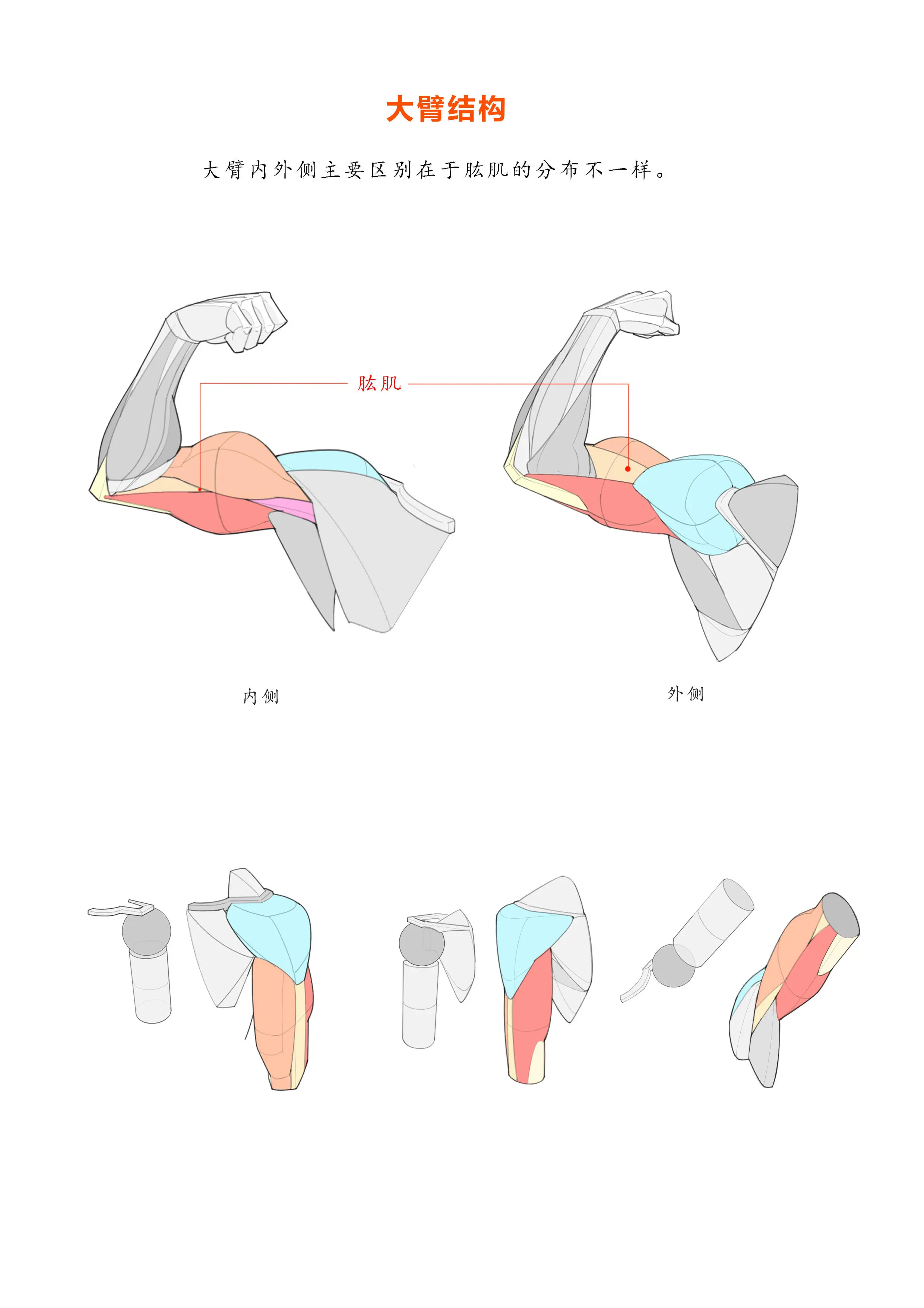 保姆级别手臂结构画法