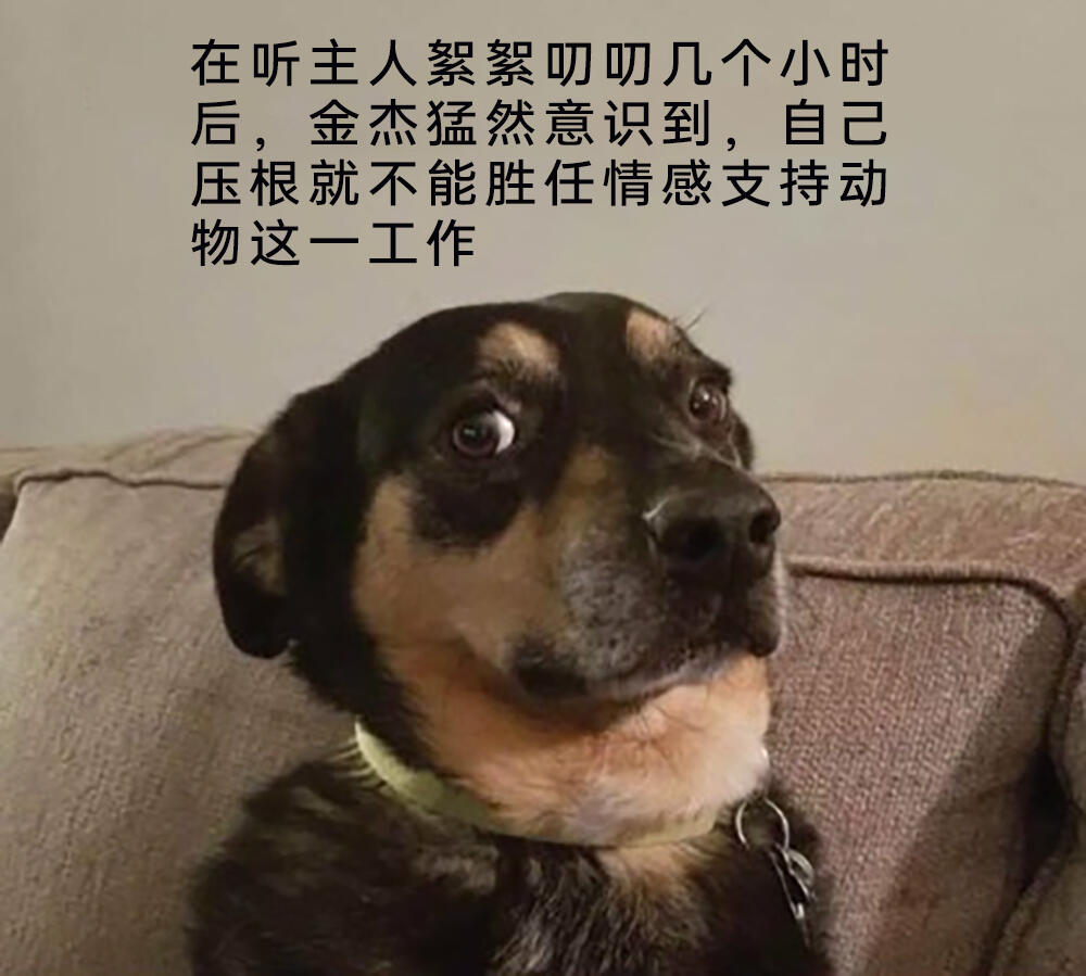 meme梗图:好可爱的小人类! - 哔哩哔哩