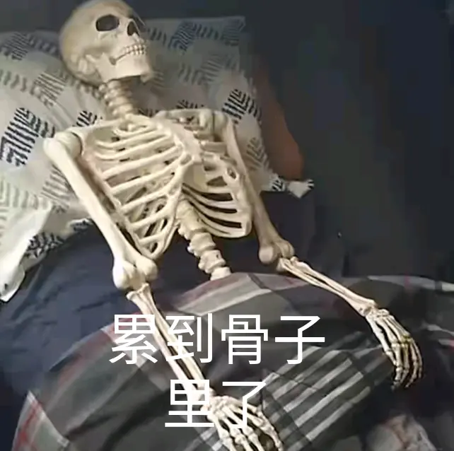 珞-17的动态 - 哔哩哔哩