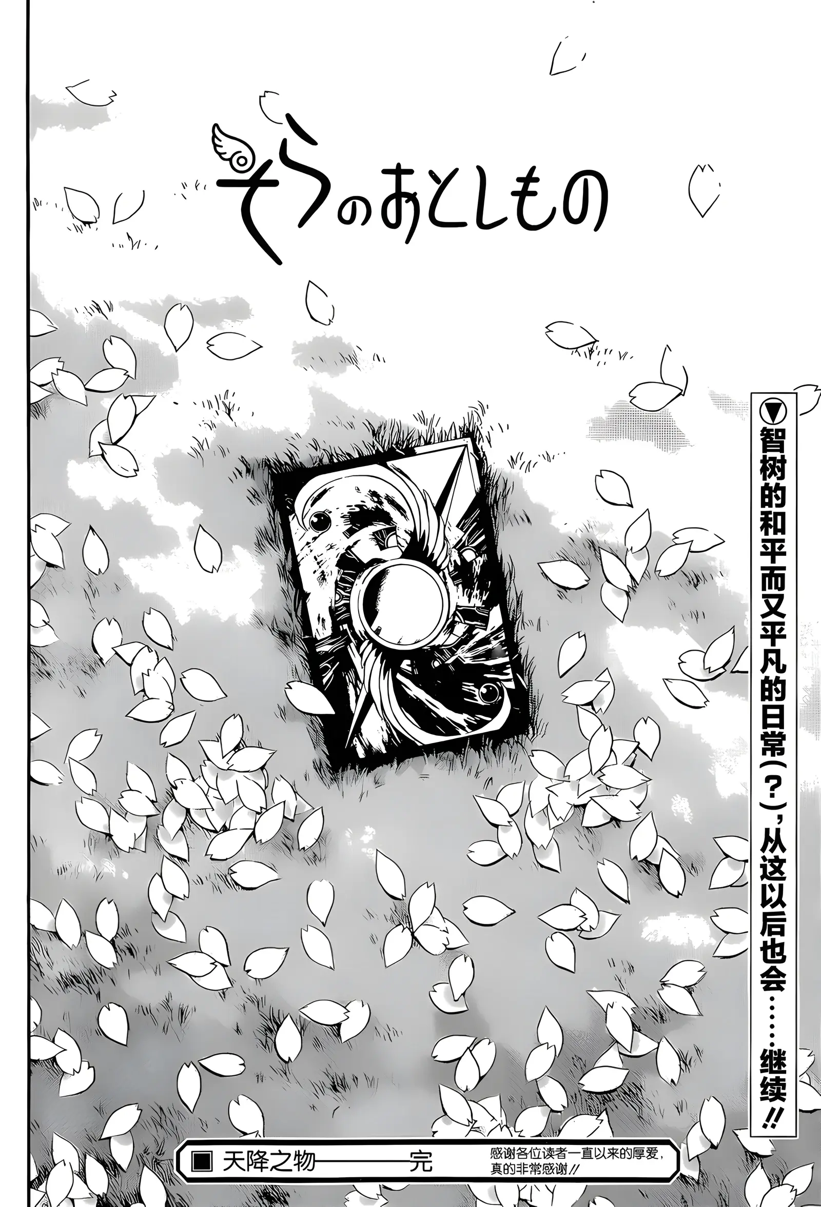 5.29)《天降之物》