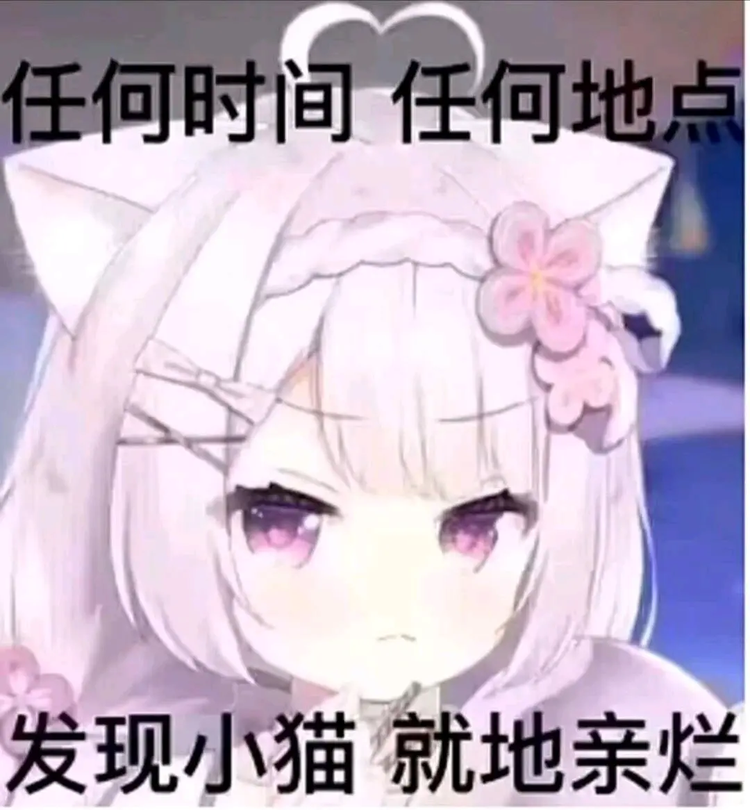 可爱的二次元向表情包分享(36) - 哔哩哔哩