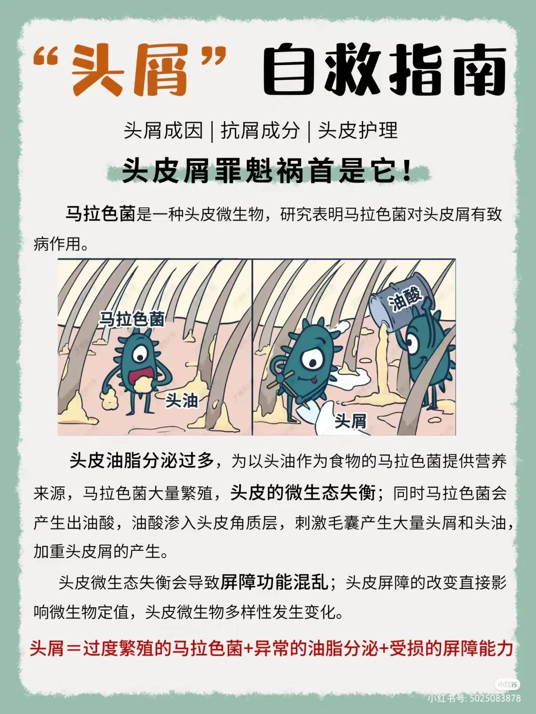 去屑用什么牌子洗发水? - 哔哩哔哩