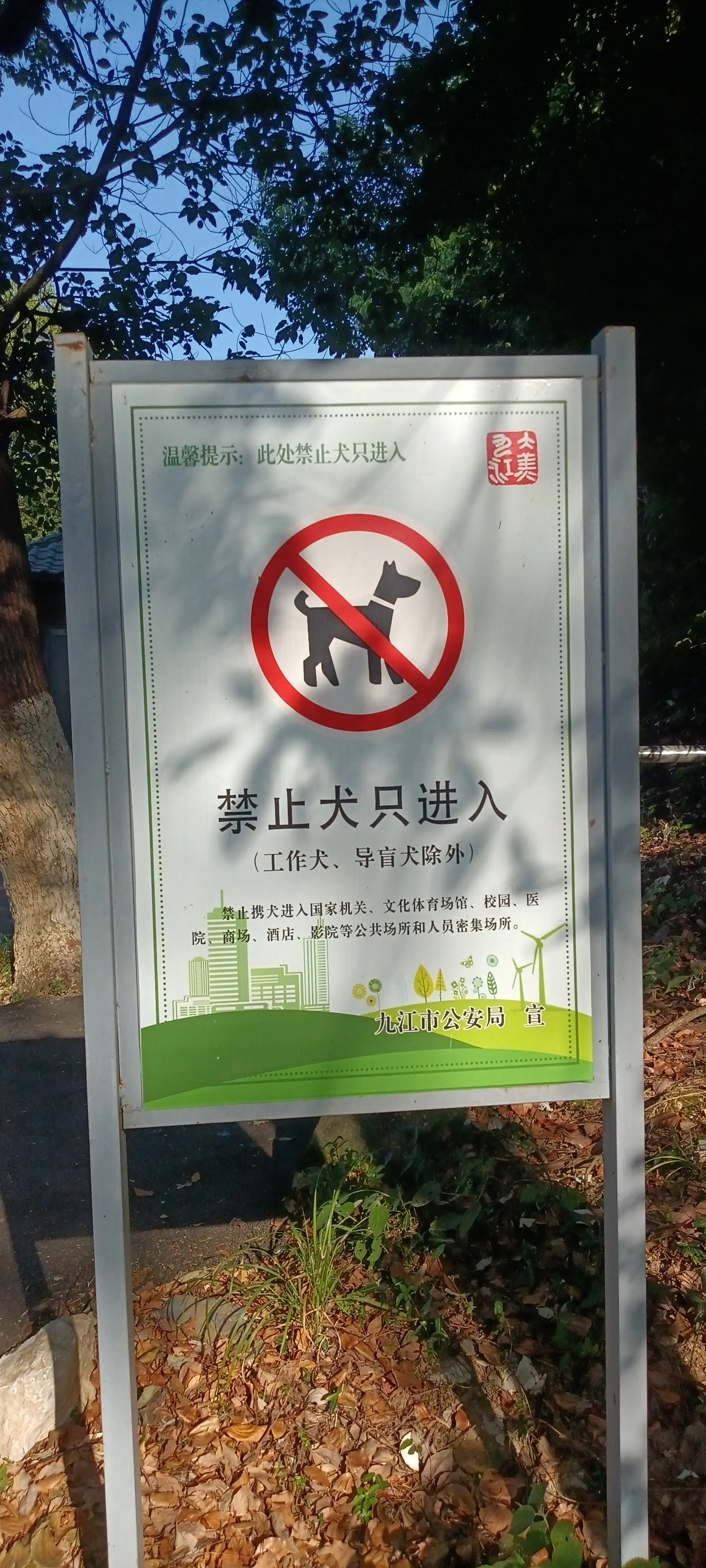 九江市柴桑区学吉他要多少钱