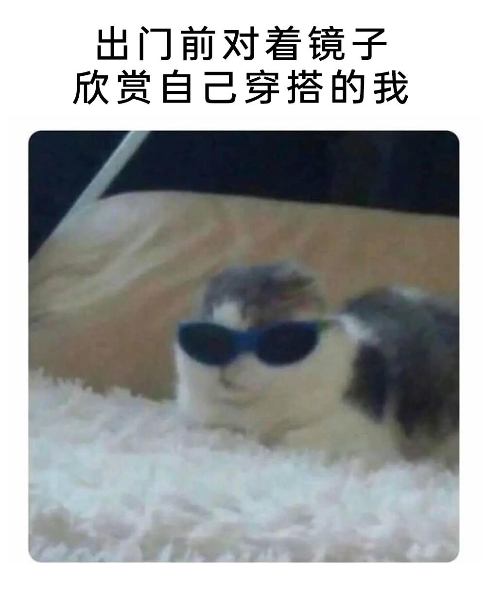 meme梗图:这可比蝴蝶棒多了! - 哔哩哔哩