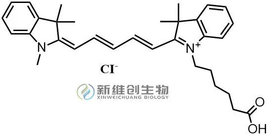 阿霉素荧光图片