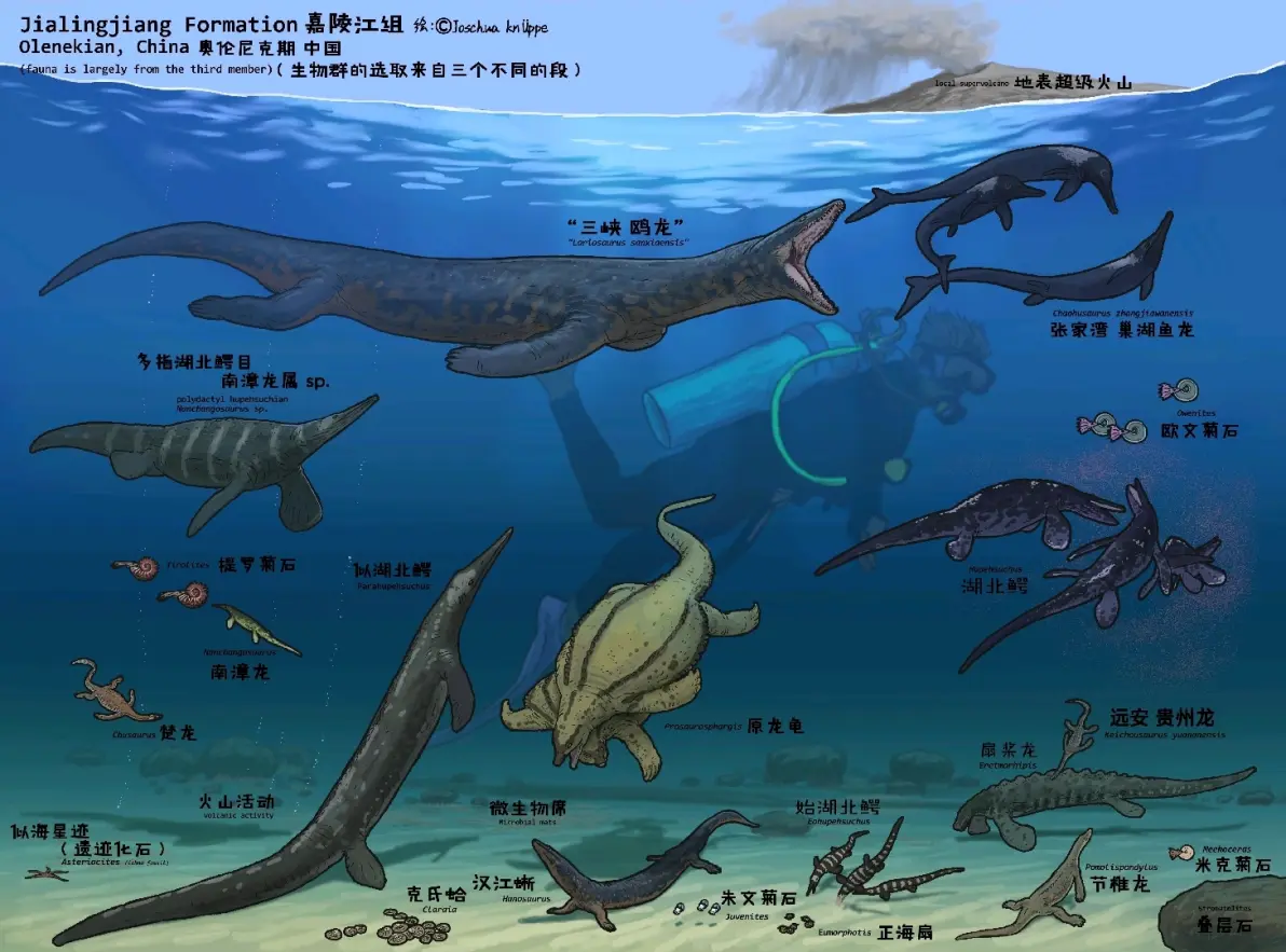 分享古生物图片