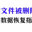 如何恢复回收站中被删除的文件？2个指南，让电脑数据复活