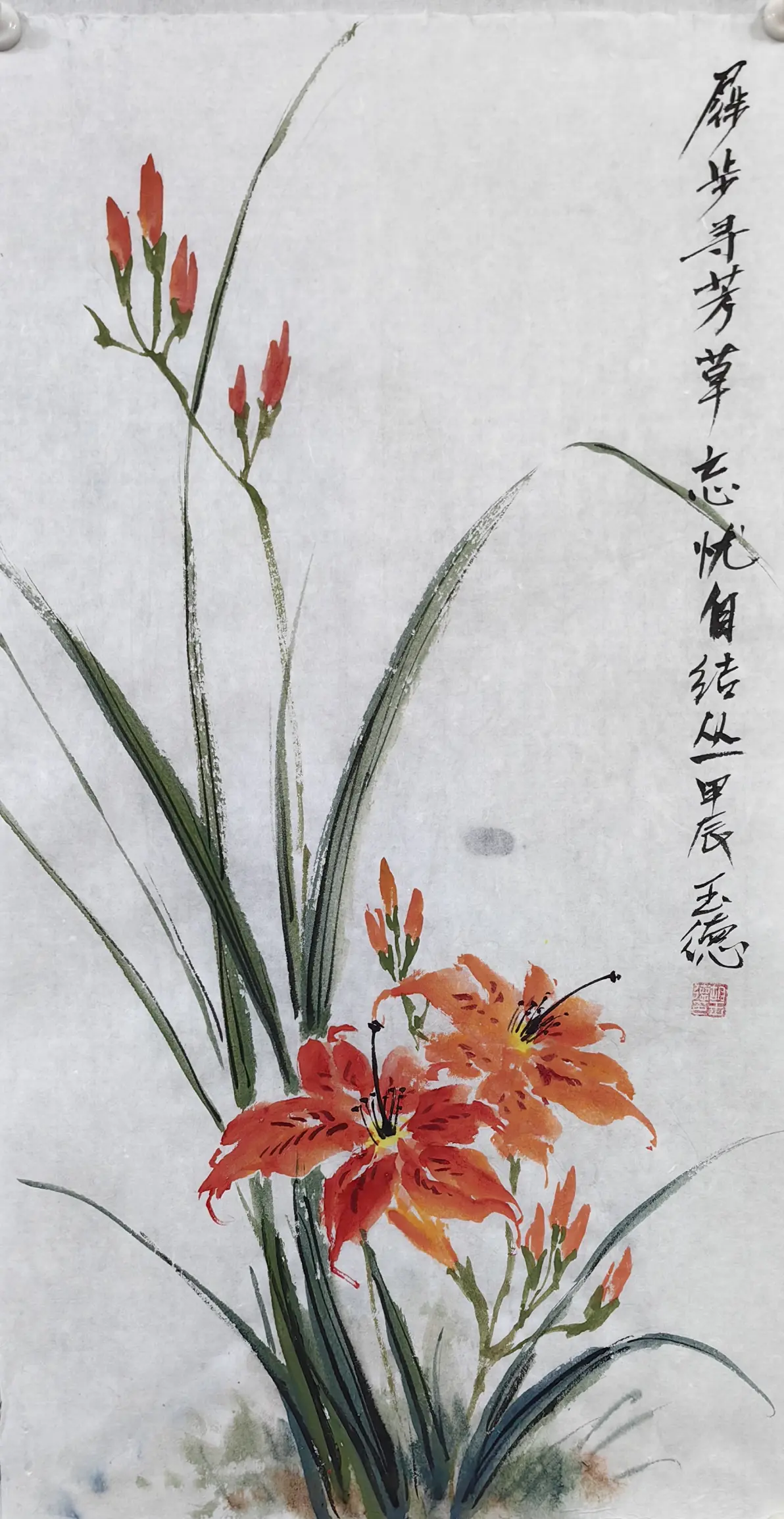 忘忧草(萱草)国画小写意集