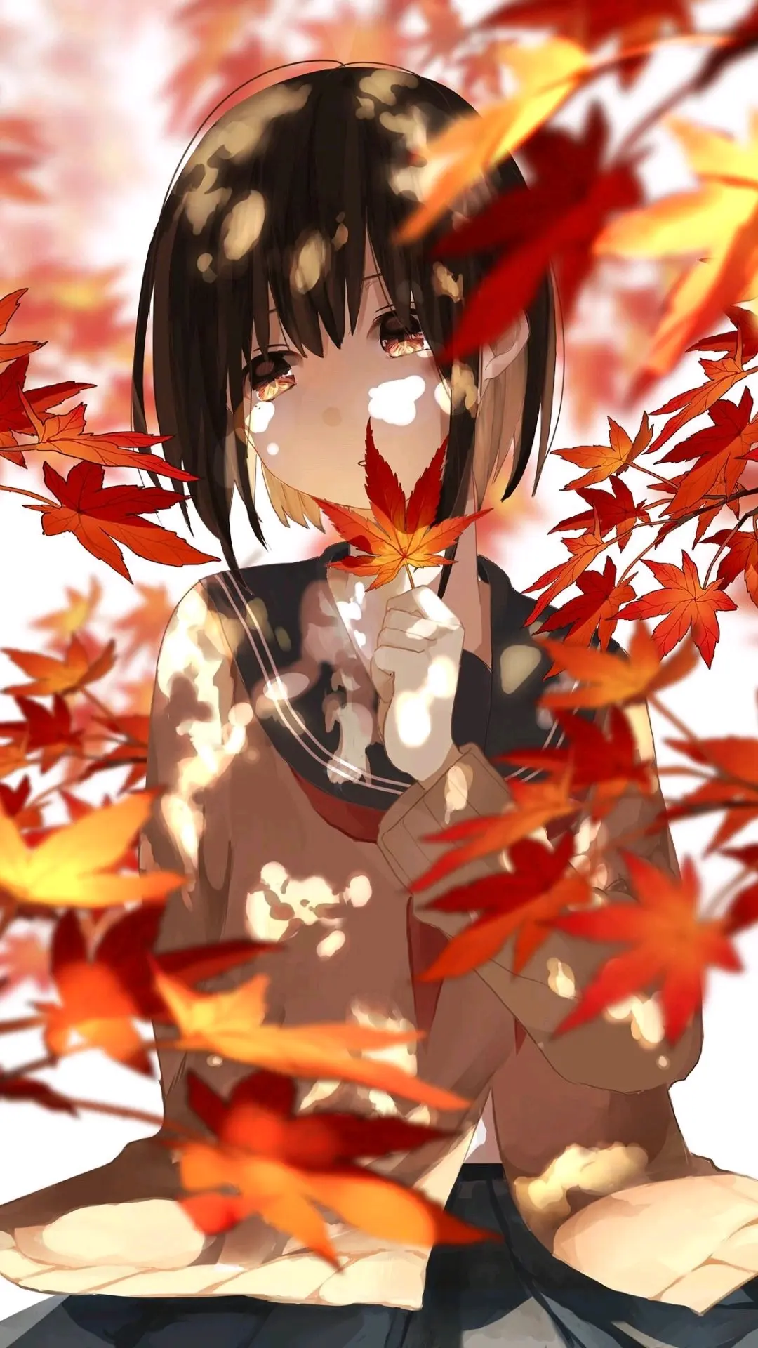 二次元动漫美图分享