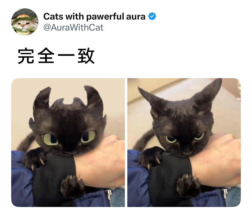 meme梗图:这可比蝴蝶棒多了! - 哔哩哔哩