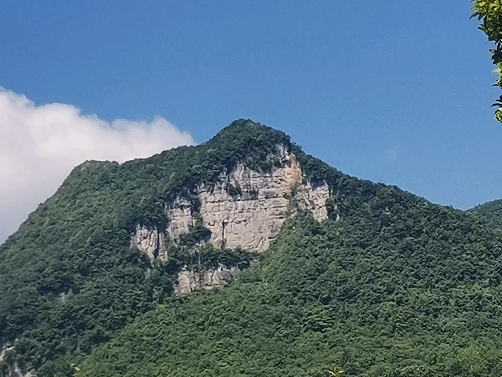 彝良猫猫山图片