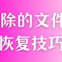如何恢复被删除的文件？看这6种实用恢复技巧，日常够用！