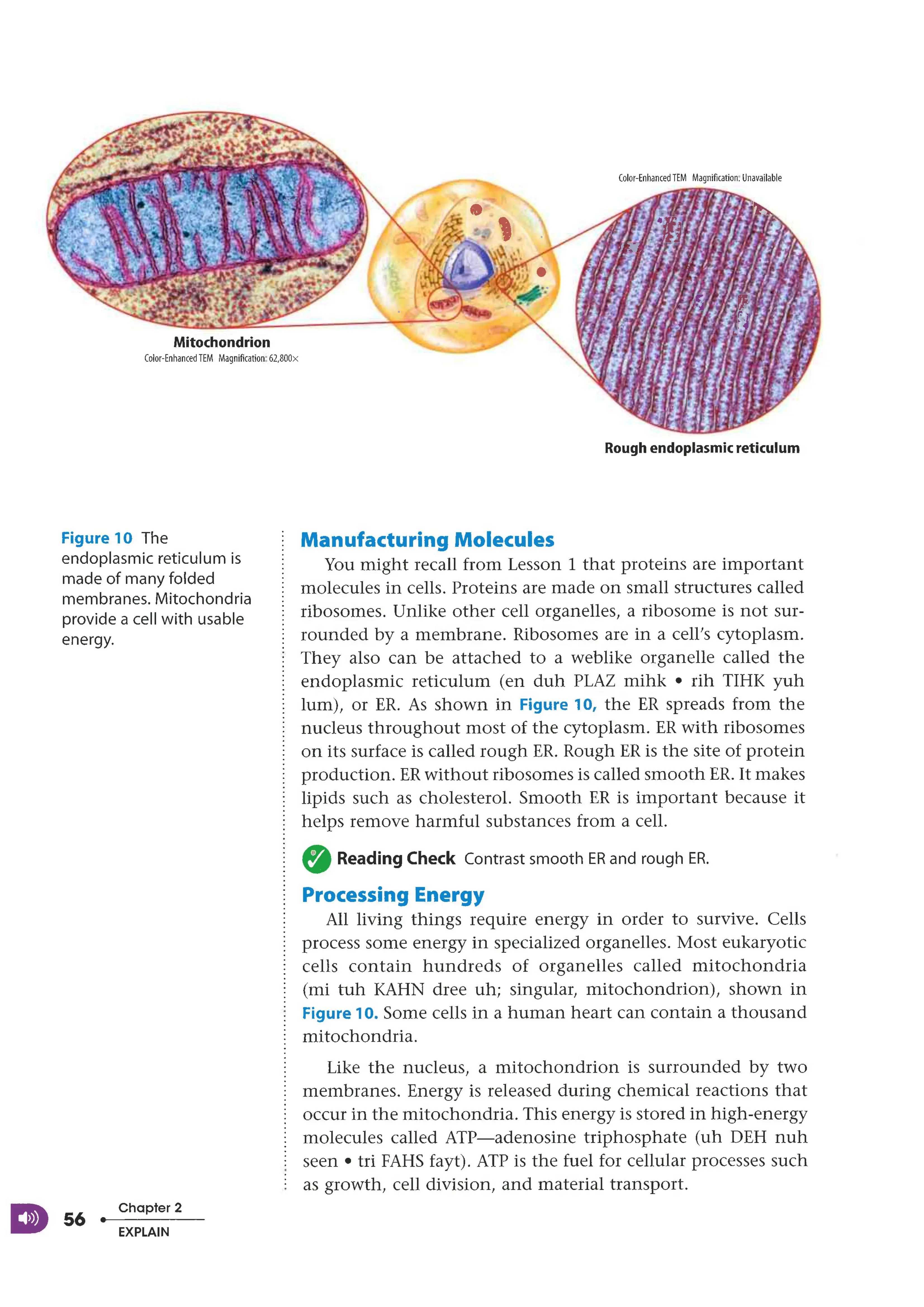 2.2 the cell - 哔哩哔哩