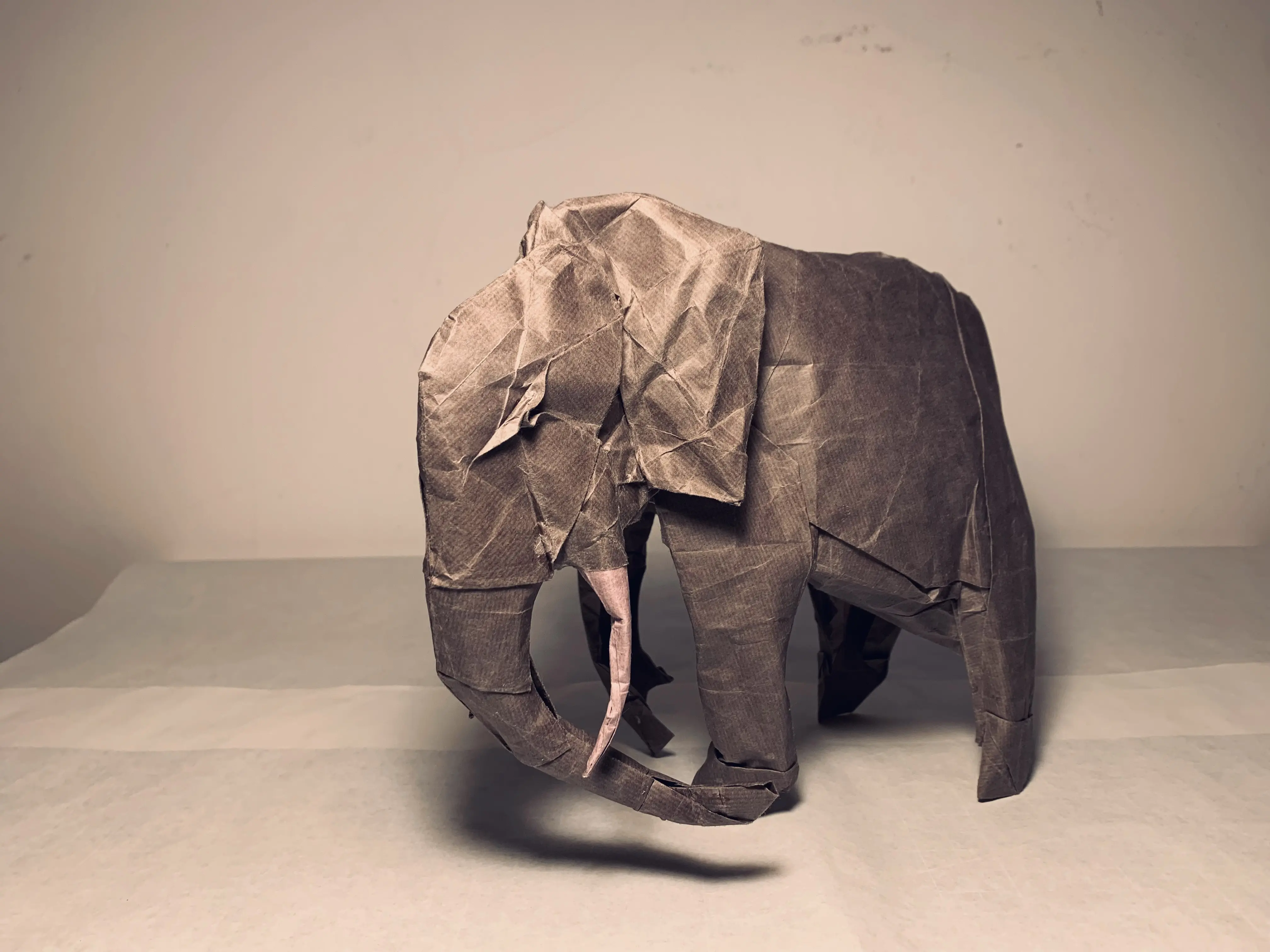 【折纸】加藤非洲象