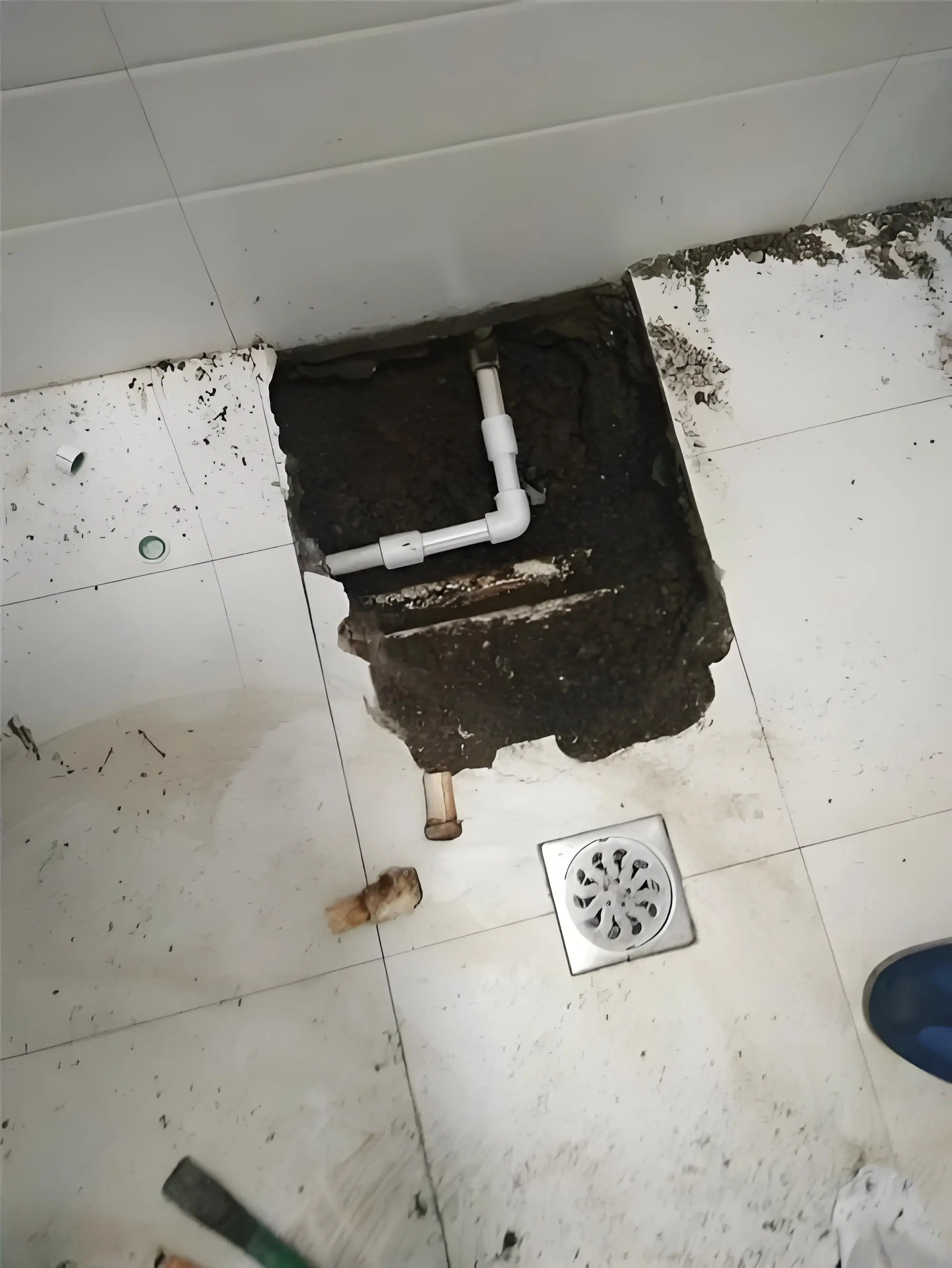 哔哩哔哩