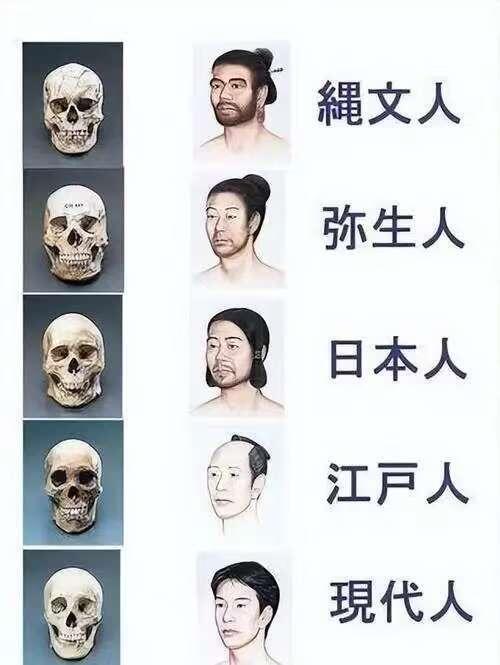 绳文人和弥生人是日本历史上的两个重要族群 - 哔哩哔哩