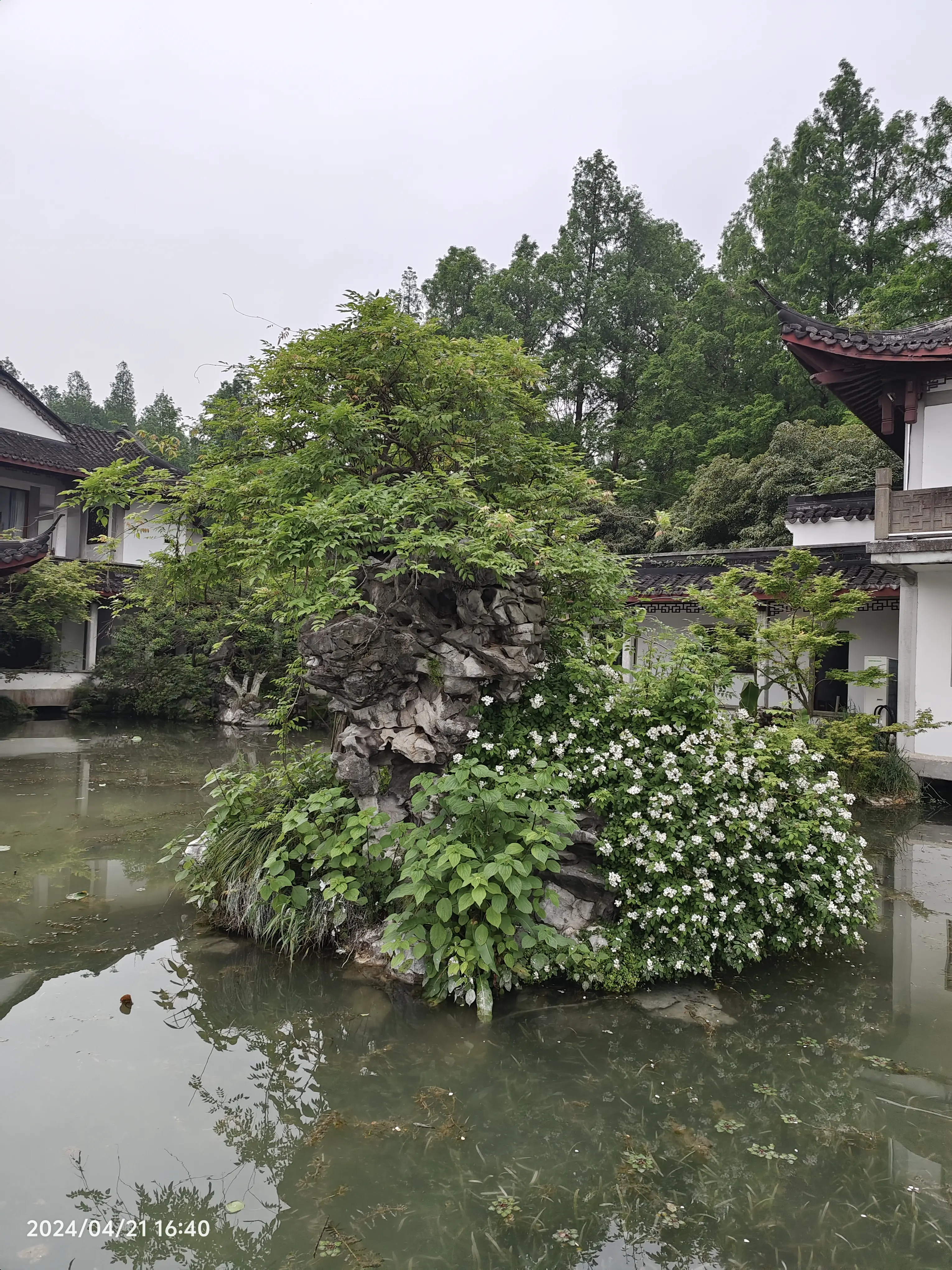 柳浪闻莺,苏堤——杭州西湖风景名胜区景点