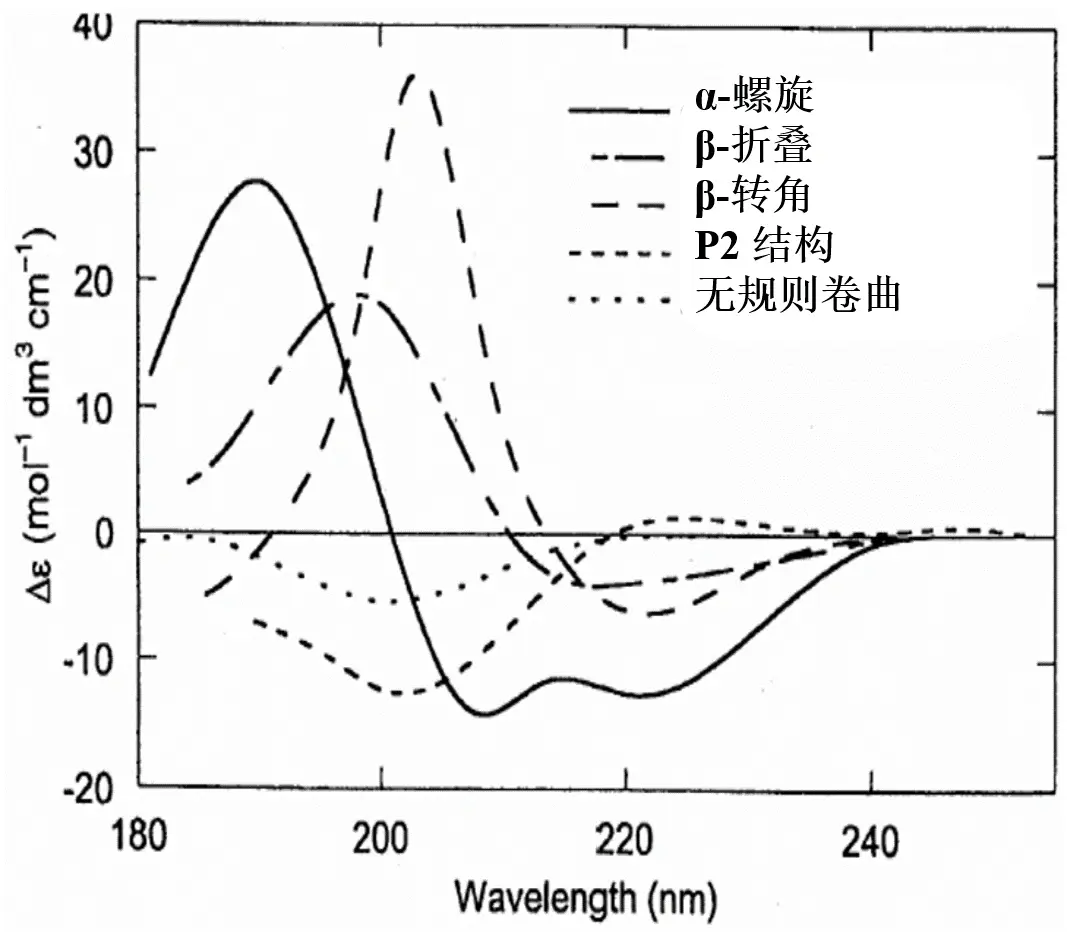 圆二色谱生物大分子表征实验服务