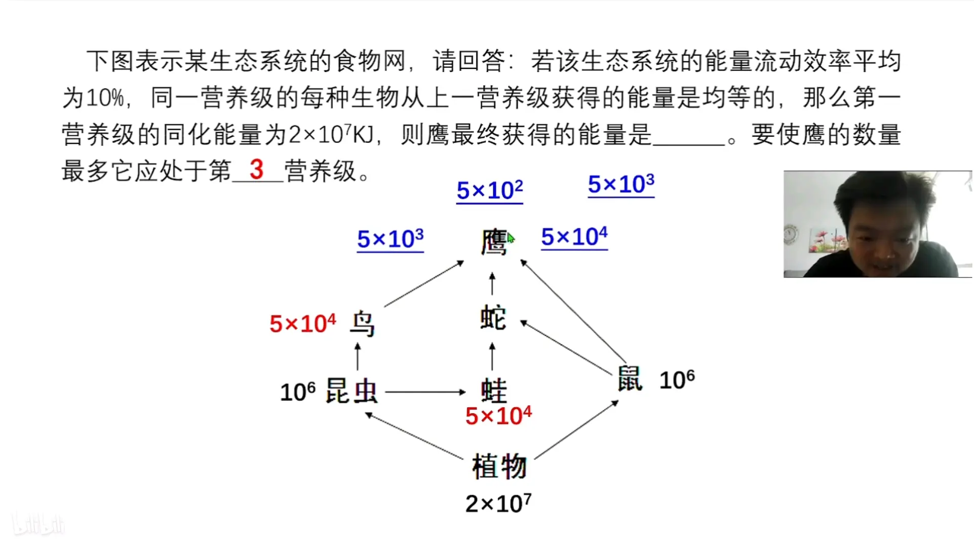 高二生物生态系统能量流动专题训练的简单介绍
