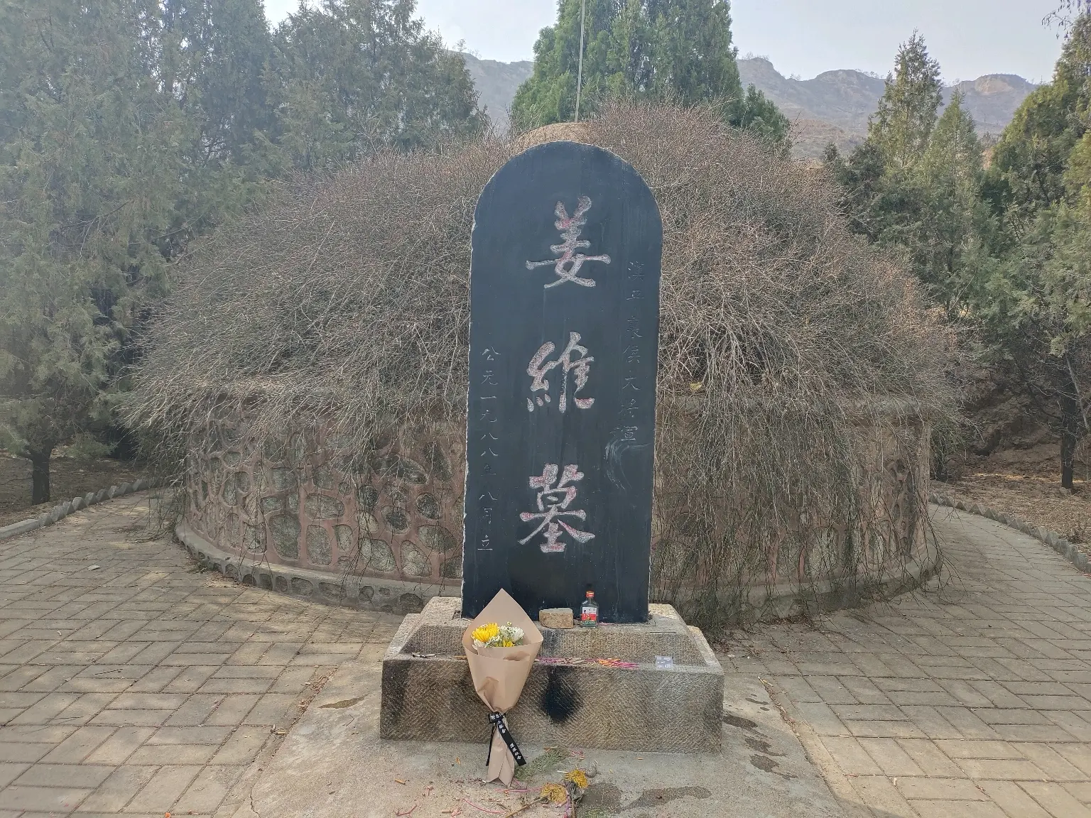 我还看到祖逖了这一路的路灯杆上都是姜维故里看完壁画就可以回去了