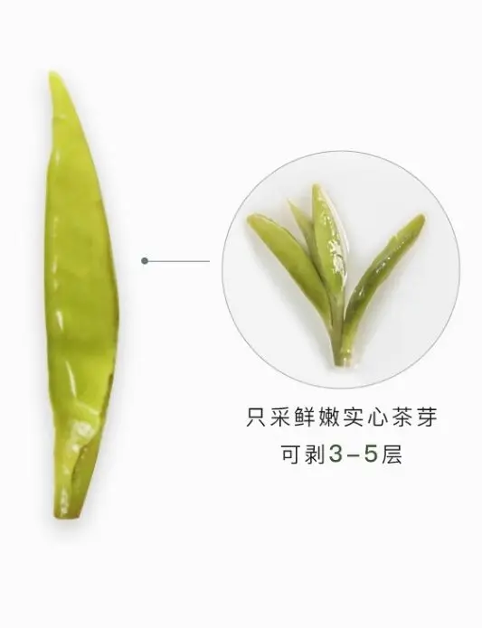 竹叶青9号茶图片