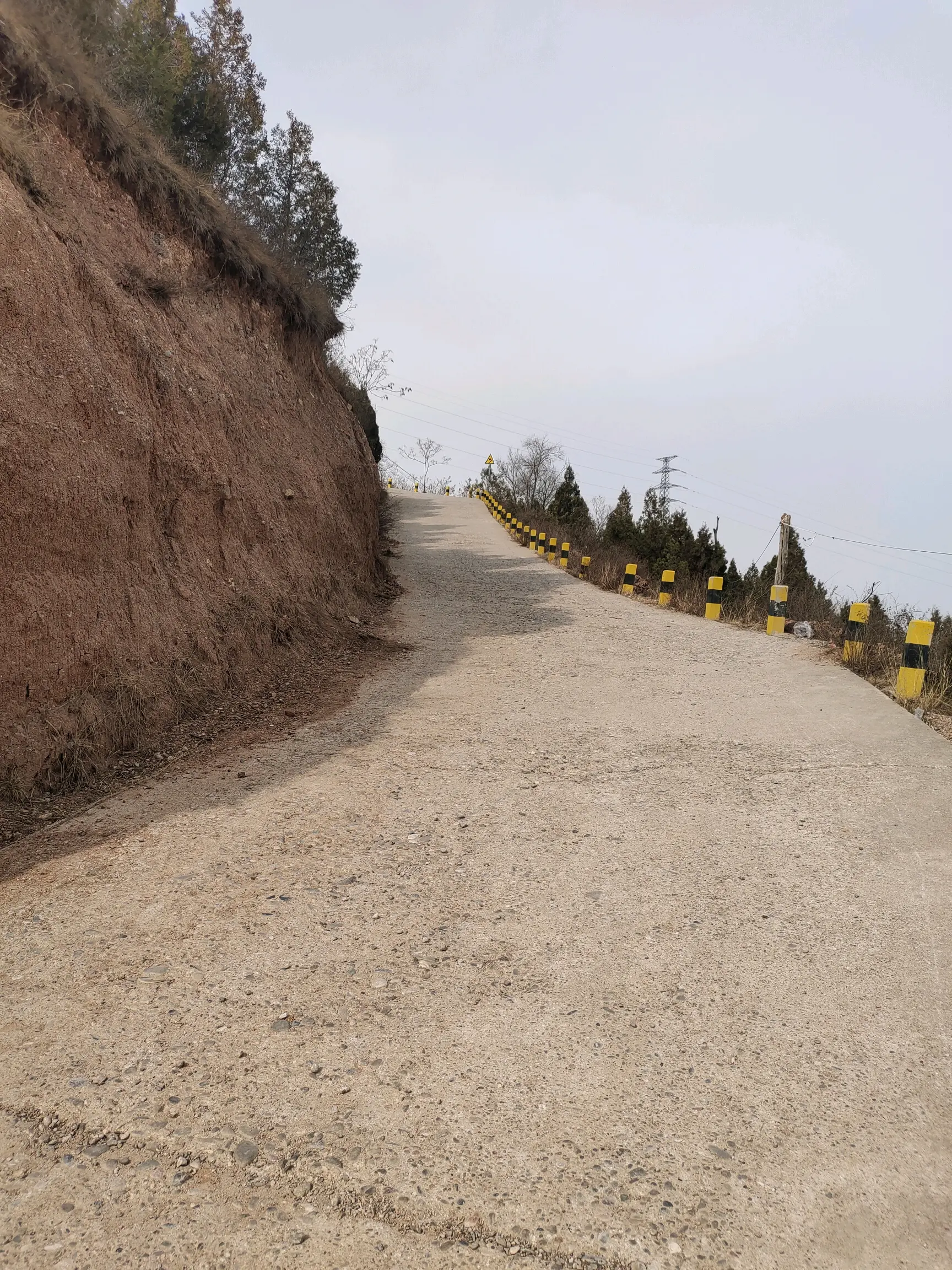 我还看到祖逖了这一路的路灯杆上都是姜维故里看完壁画就可以回去了
