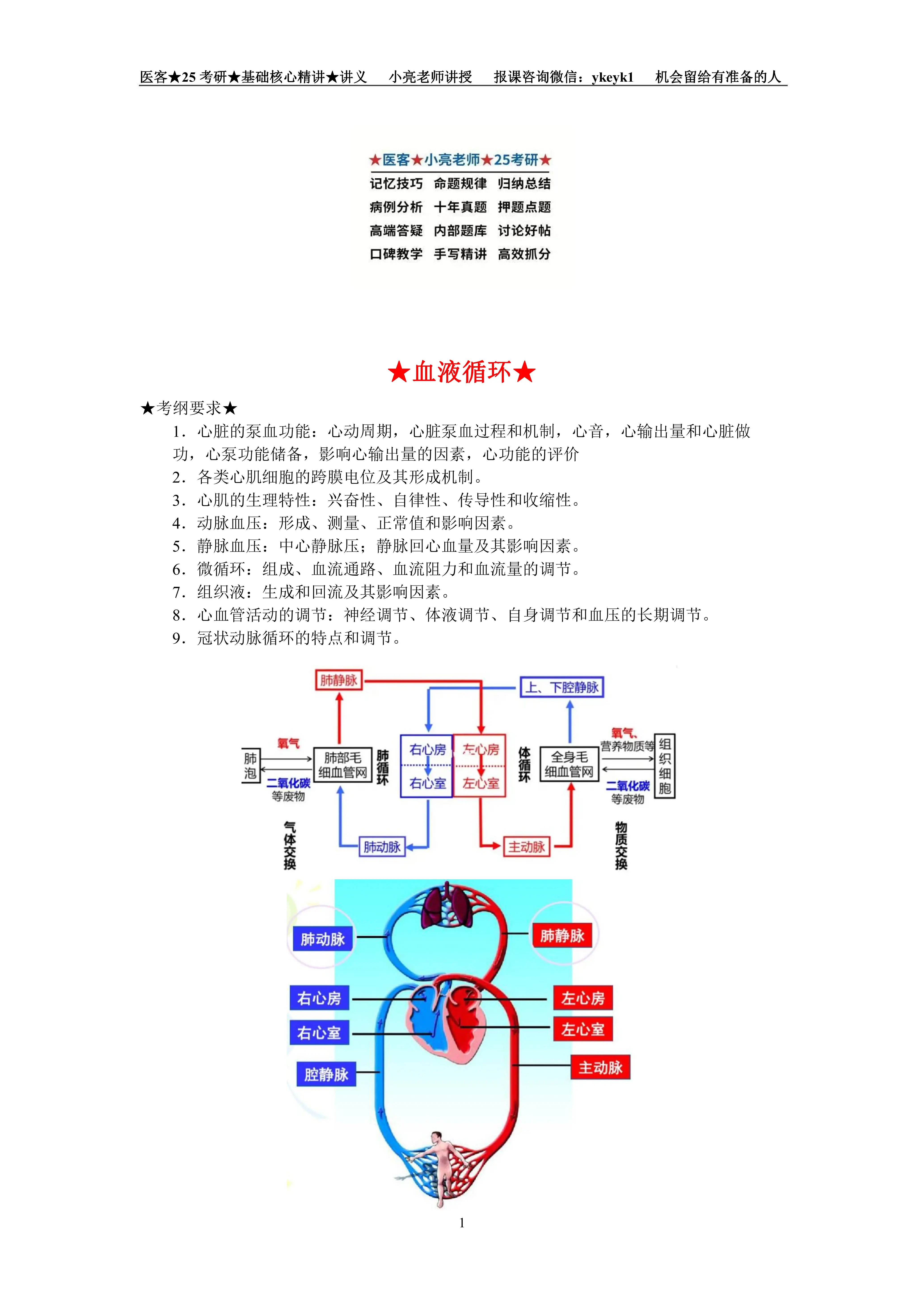 25小亮笔记:生理学-心脏泵血功能