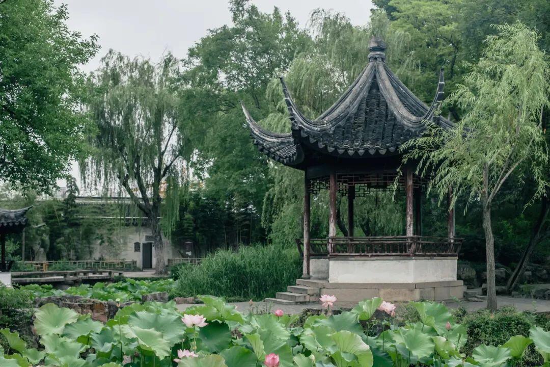 园林里的清凉境 - 哔哩哔哩