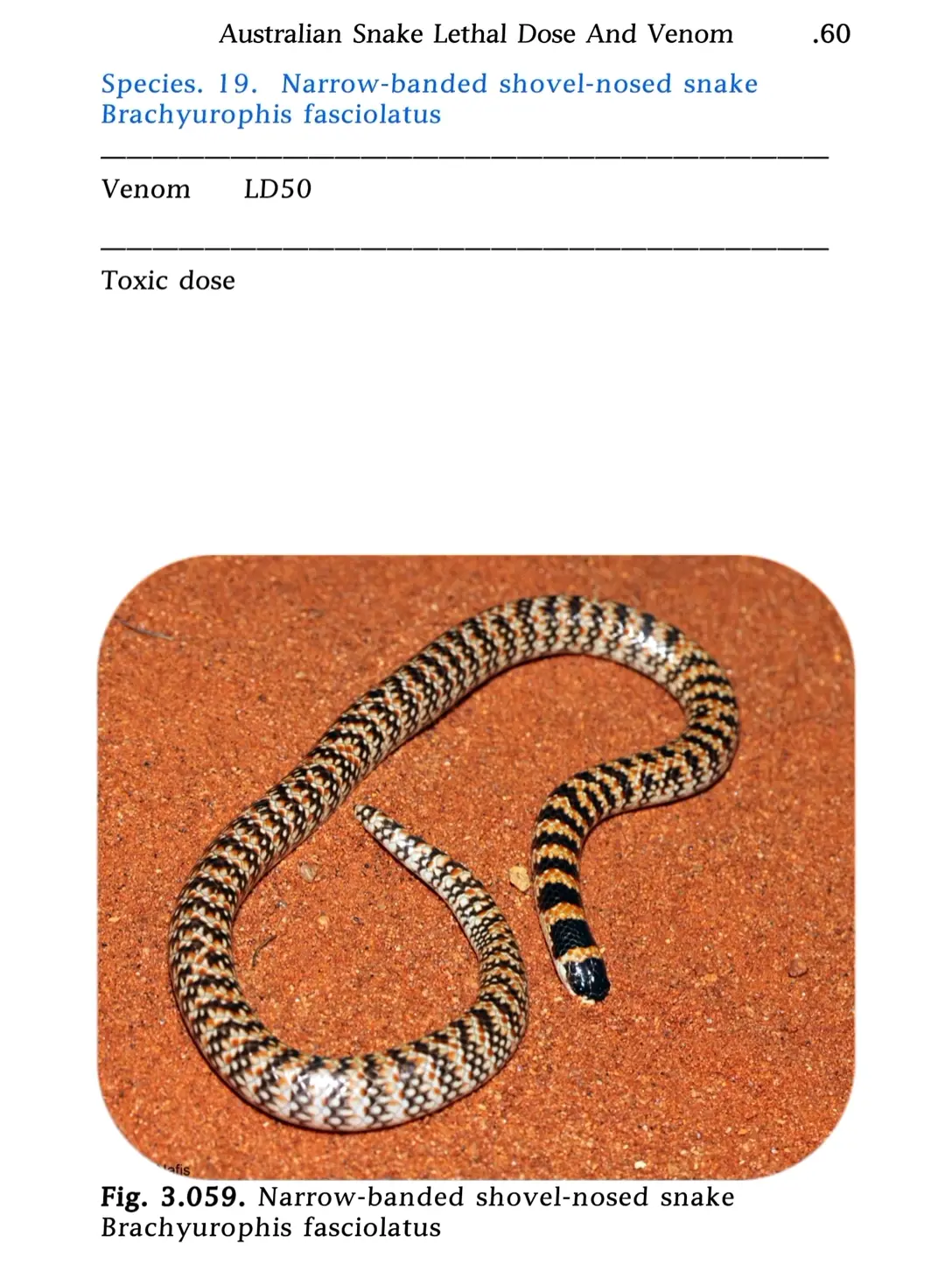 australian snake lethal dose and venom