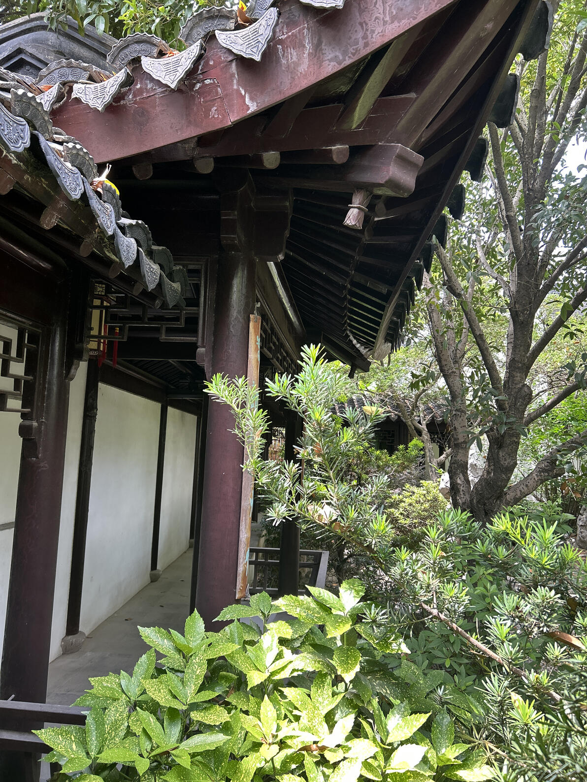 苏州地区108园林 045-陶氏花园 - 哔哩哔哩