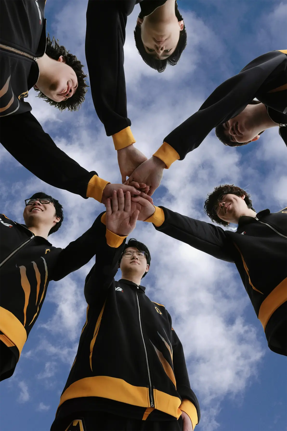 成都狼队收藏集图片